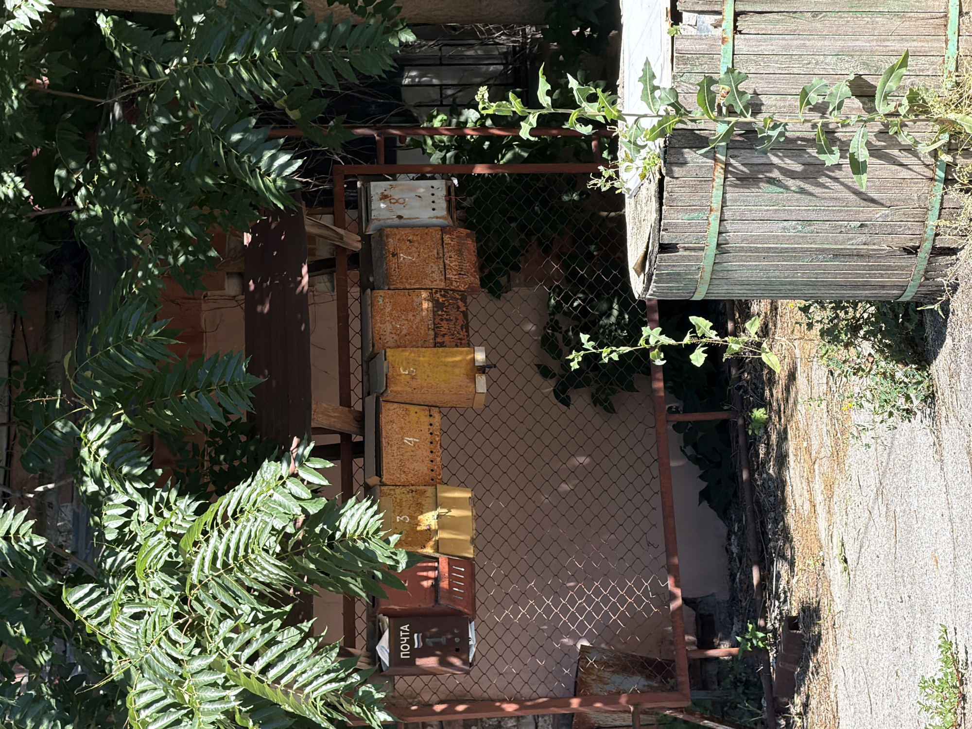 The image captures an outdoor scene in Taganrog, Russia, featuring a row of old, numbered mailboxes mounted on a metal rack. The mailboxes, some appearing rusty and weathered, are arranged horizontally against a textured wall. One mailbox is labeled "ПОЧТА" (POST) and displays a Russian flag emblem. Overhanging foliage from a tree with large, compound leaves casts dappled shadows across the scene. In the foreground, a portion of a weathered wooden barrel with green metal bands is visible, along with patches of dry ground and greenery. The overall impression is one of a slightly neglected, aged urban environment.