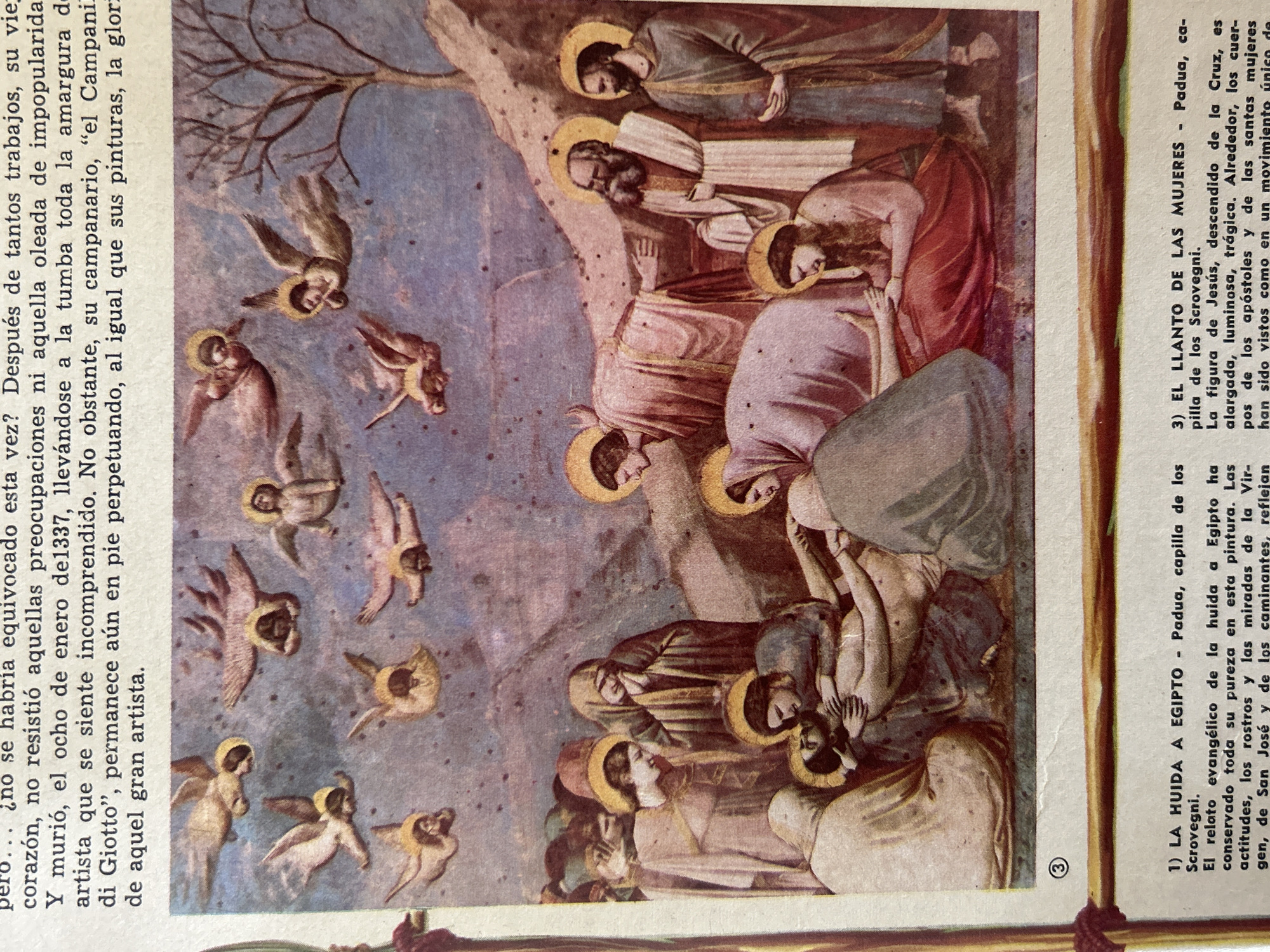 The image displays a section of a fresco painting with a religious theme. In the upper portion, numerous winged figures with halos are depicted floating in a sky-like background. The lower portion of the painting shows a group of figures gathered around a central scene. A deceased figure, presumed to be Jesus, lies on the ground being mourned by several individuals, including women and men with halos. The figures are dressed in flowing robes, and the scene is rendered in a style characteristic of Renaissance art. Below the painting, a numbered caption mentions "Padua, capilla de los Scrovegni" and describes a biblical event. There is no information in the image or its accompanying text that relates to Santa Ana, Venezuela.