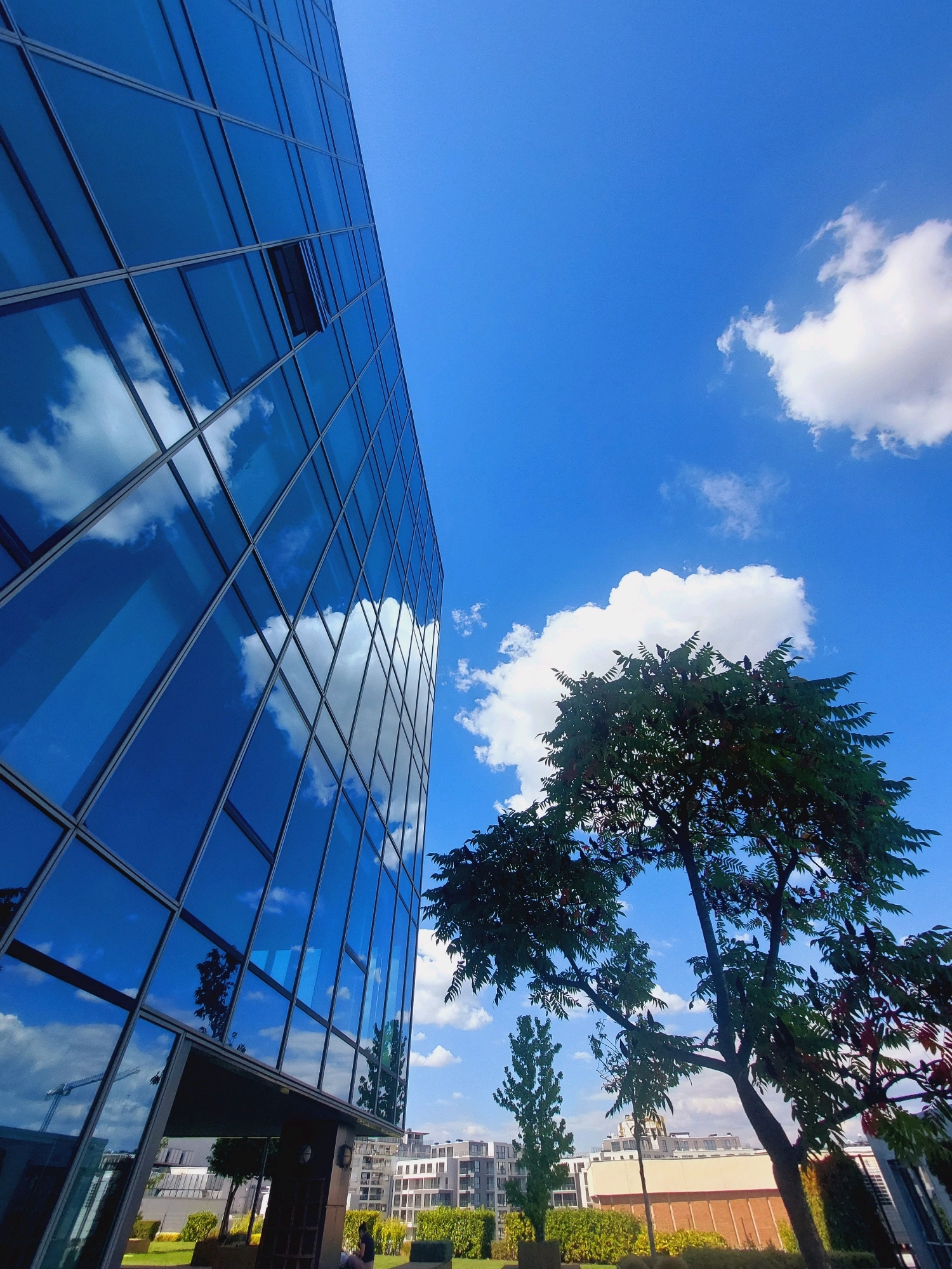 An exterior shot captures a modern glass-fronted building and a tree against a bright blue sky dotted with white clouds. The building, featuring a grid of reflective blue glass panels, dominates the left side of the frame, with an open window visible on one of the upper floors. The right side of the image is occupied by a large tree with dark green foliage, casting shadows on the ground below. In the background, other buildings with lighter facades can be seen, suggesting an urban setting. The ground in front of the buildings appears to be a manicured lawn with some bushes. In the foreground, to the right of the main entrance of the glass building, a person is seated on a low wall, facing away from the camera. A construction crane is reflected in the building's windows in the lower left portion of the image. This scene is located in Sofia, Bulgaria.