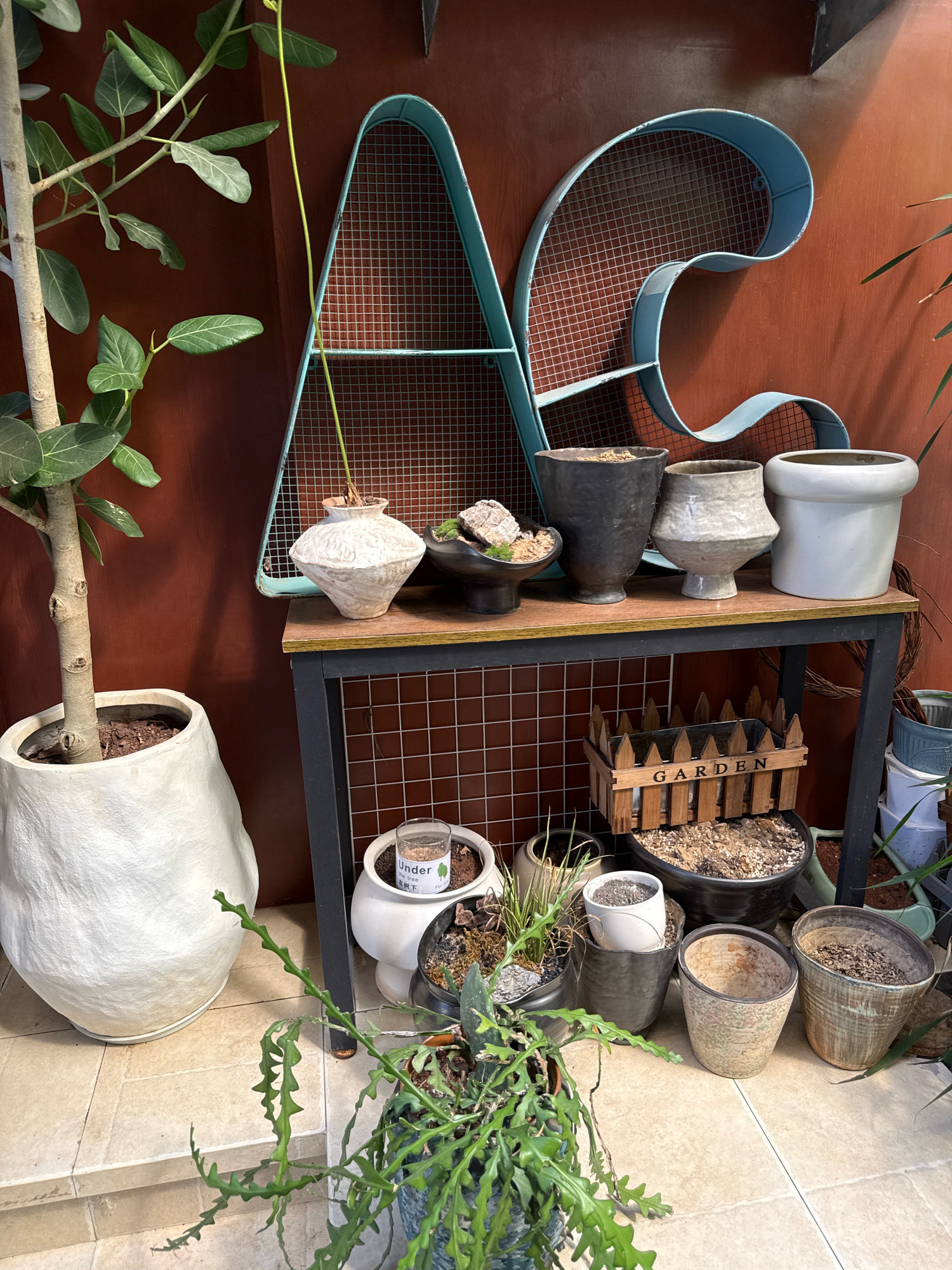 The image depicts an outdoor garden scene against a rust-colored wall. In the foreground, a large, white, irregularly shaped planter contains a tree with broad green leaves. To the right of the tree, a hanging plant with flat, segmented green stems spills out of a pot.
On a dark-legged table with a wooden top, several potted plants and decorative items are arranged. From left to right, there is a small white vase with a textured surface, a dark, possibly stone, bowl with rocks, a large dark gray pot, a light gray, textured vase, and a large white cylindrical pot. A light blue metal wire shelving unit, shaped like abstract letters, is mounted on the wall behind the table.
Below the table, on the tiled floor, a wooden crate labeled "GARDEN" sits atop a large dark pot filled with soil. Surrounding this are several smaller pots, some containing plants and soil, and others empty. The lighting suggests it is daytime, with natural light illuminating the scene. The overall impression is one of a curated outdoor plant display.