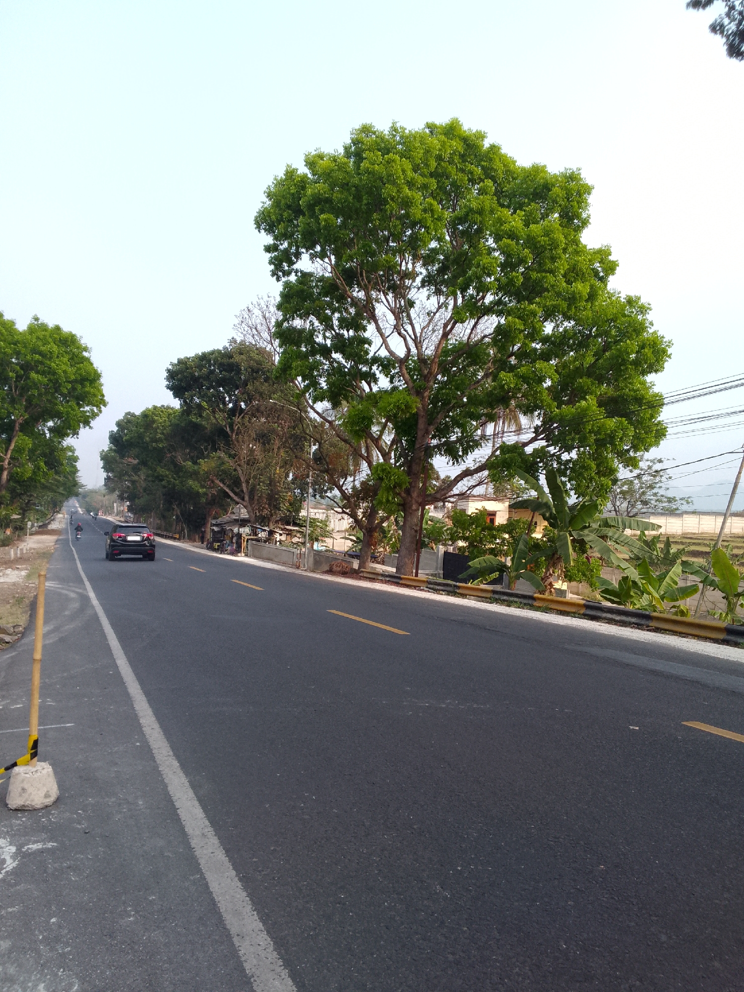 The image depicts a two-lane asphalt road running through a semi-rural area, likely in Rajamandala Kulon, Indonesia, given the context. The road is bordered by trees on both sides, with dense foliage creating a canopy in some sections. On the left side of the road, there is a gravel shoulder and a yellow bamboo pole with black and yellow tape secured by a concrete base. A black SUV is visible driving on the left lane, heading away from the camera, followed by a motorcycle. On the right side of the road, there are a few small structures, possibly shops or homes, with a yellow and black striped metal barrier along the edge of the road. Beyond these structures, there are banana trees and a distant wall or fence, with what appears to be agricultural fields beyond. The sky is clear and pale, suggesting it might be early morning or late afternoon. The overall scene conveys a sense of everyday life on a provincial road in Indonesia, characterized by natural elements and modest human development.