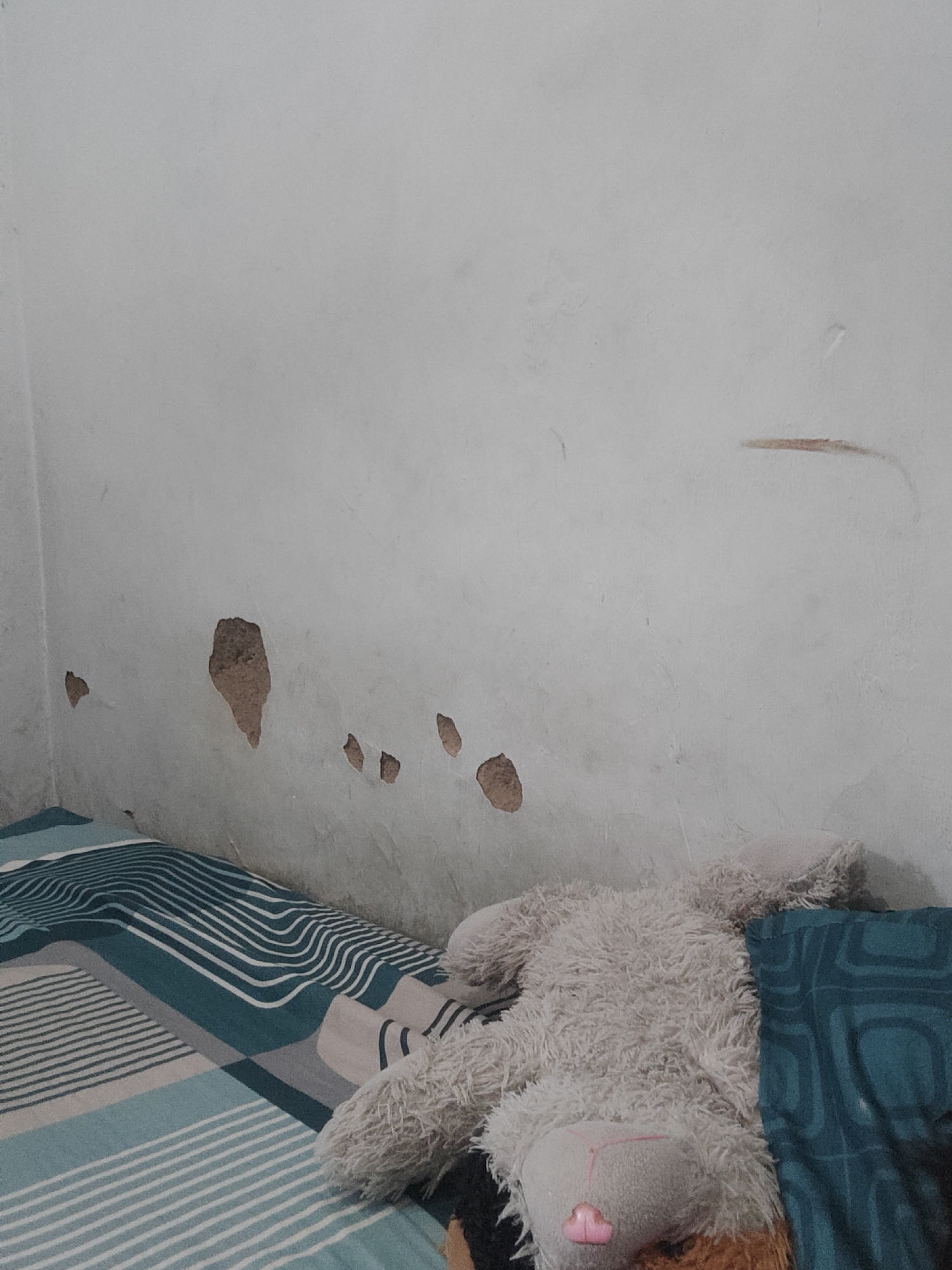 A stuffed animal is lying on a bed in an indoor setting. The stuffed animal is light gray and fluffy, with a pink nose. It is lying on its back, with its paws extended. The bed has a blue and white striped comforter. The wall behind the bed is white and appears to be peeling in several places, revealing exposed concrete or plaster underneath. There are also some light brown smudges on the wall. The overall impression is one of neglect or disrepair. The scene is not recognizable as a specific location within a city.