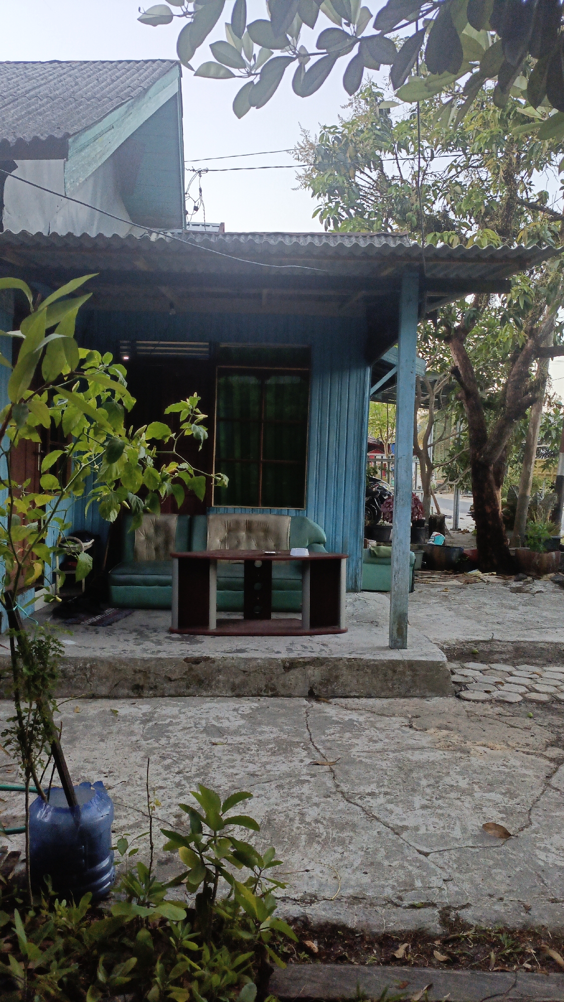 This is a vertical, medium-shot, outdoor photograph of a simple, light blue wooden house with a corrugated metal roof. The house appears to be situated in Gusunge, Indonesia. In front of the house, on a concrete patio, is a light green sofa with tufted cushions and a dark brown and light green coffee table. A young tree in a blue plastic container is in the foreground to the left, with other small plants around it. Behind the house, there are trees and a glimpse of a road. A motorcycle is partially visible parked to the right of the house. The lighting suggests it is daytime, possibly late afternoon. There are no people visible in the image. The scene conveys a sense of modest, everyday living.
