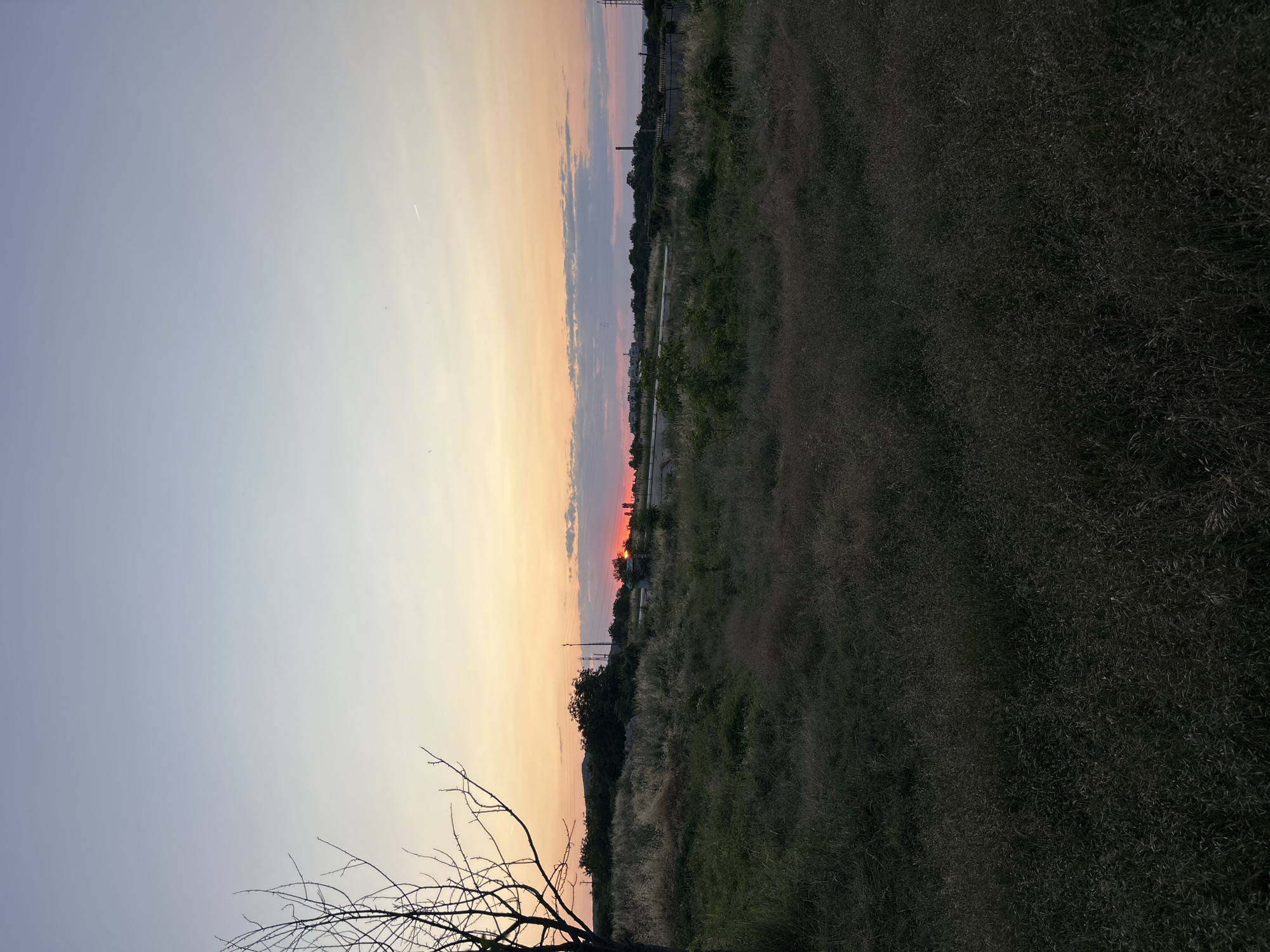 The image depicts an outdoor scene during twilight. The sky displays a gradient of colors, transitioning from a pale blue at the top to hues of orange and pink near the horizon. A bare tree branch extends into the frame from the left side. The landscape below consists of overgrown grass and vegetation, with some scattered trees and shrubs. In the distance, a road or pathway is visible, bordered by more vegetation and what appear to be distant structures or industrial elements, including a smokestack. There are no people or animals visible in the image. The overall atmosphere is serene and natural, with hints of human presence in the background.