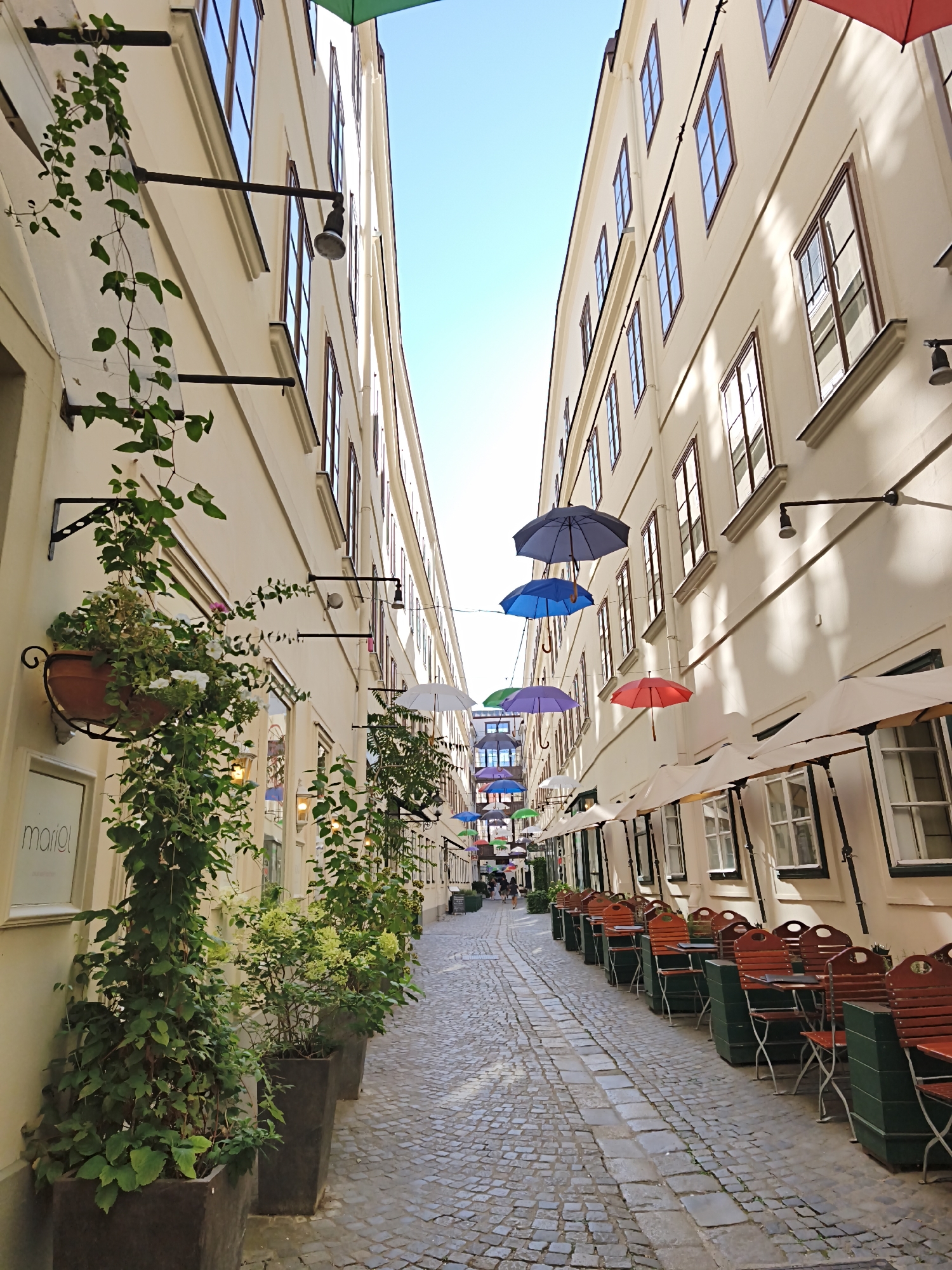 The image depicts a narrow, cobblestone street in Vienna, Austria, lined with cream-colored buildings. The street is adorned with numerous colorful umbrellas suspended overhead, creating a vibrant canopy. On the left side of the street, tall potted plants with lush green foliage are strategically placed, some with hanging vines. A sign with the name "mariel" is visible on one of the buildings. On the right side, outdoor cafe seating with wooden chairs and tables, some with umbrellas providing shade, is arranged along the building's facade. The architecture suggests a historical European city. The sky is a clear blue. The street appears to be a pedestrian area, with a few people visible in the distance.
