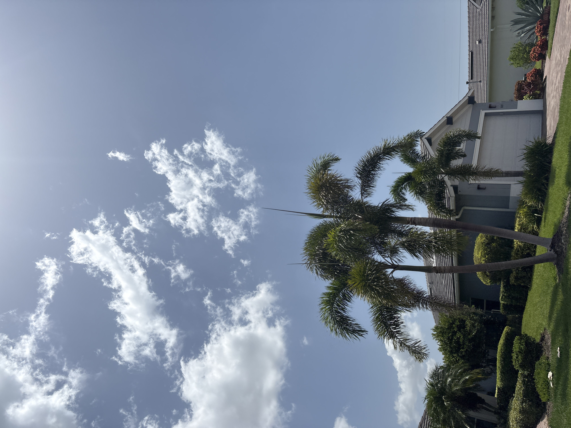 In Bradenton, Florida, a clear blue sky is dotted with fluffy white clouds. In the foreground, three palm trees with lush green fronds stand tall against the sky. Behind the palm trees, a light blue house with a gray tile roof is visible. A white garage door is a prominent feature on the house. The house is surrounded by manicured green lawns and neatly trimmed hedges. To the right of the house, a driveway made of reddish-brown pavers leads up to the garage. A large agave plant with spiky blue-green leaves adds a touch of arid beauty to the landscape. The overall scene depicts a well-maintained residential property in a sunny, tropical environment.