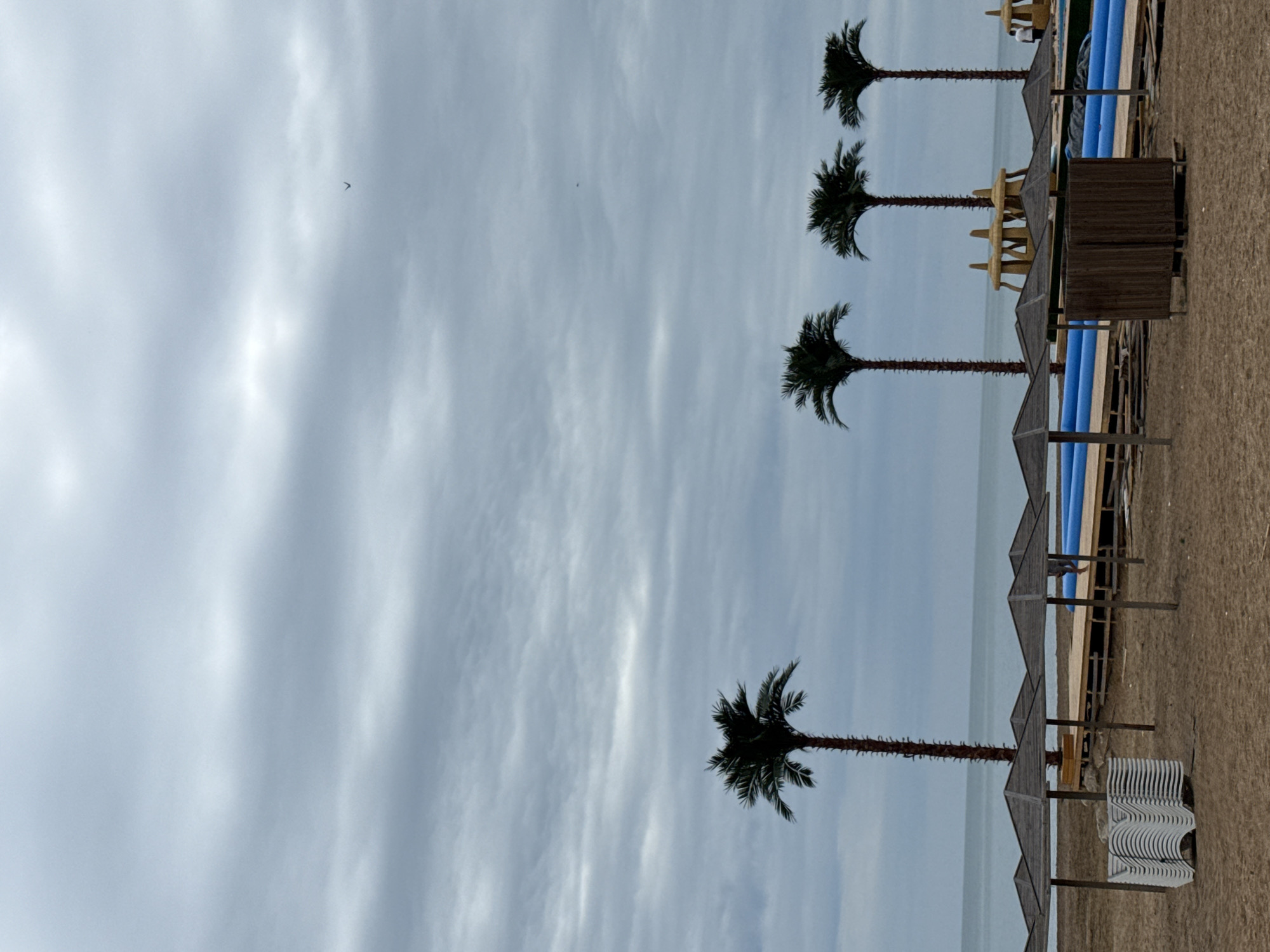 The image shows a beach scene with palm trees, umbrellas, and lounge chairs under a cloudy sky. In the background, the sea is visible. There are also some inflatable structures, possibly for water activities. The location is identified as the city of Derbent, Russia. The scene appears to be set up for a day at the beach, but the overcast weather and the presence of many stacked chairs suggest it might be early in the season or that the beach is not currently in use. There are a few people in the background, but they are not prominently featured. The overall atmosphere is calm and quiet.