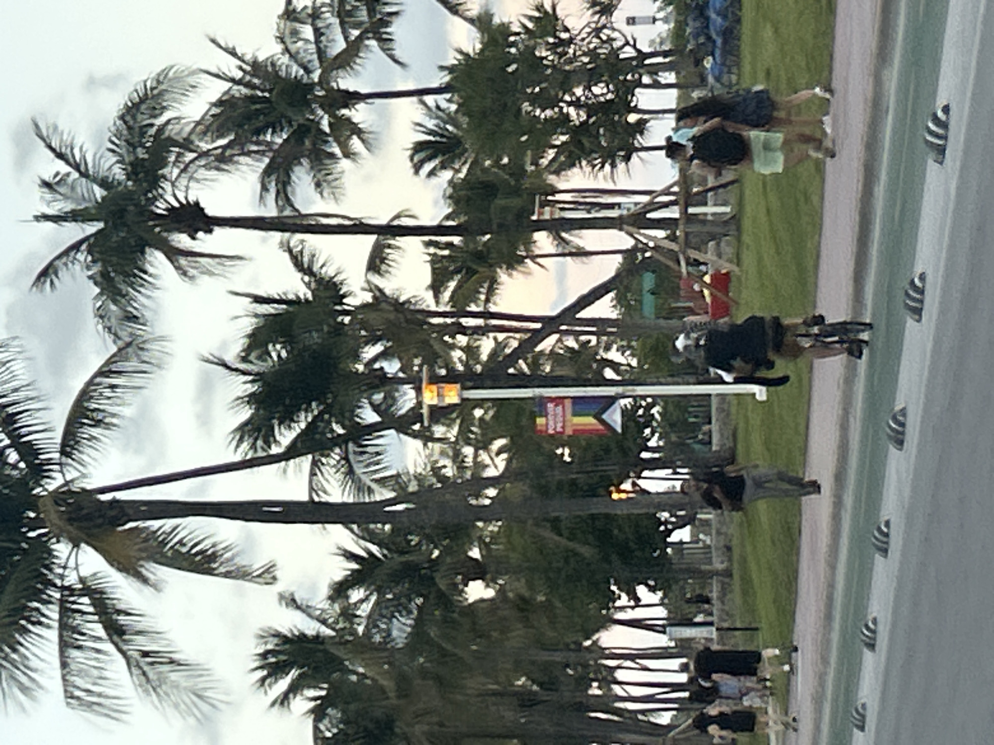 This image captures an outdoor scene in Miami Beach, United States of America, during what appears to be late afternoon or dusk under an overcast sky. The foreground features a wide paved area, possibly a road or promenade, bordered by a strip of decorative elements resembling stylized fish or waves. Further back, a vibrant green grassy expanse is lined with numerous tall palm trees, their fronds silhouetted against the bright sky.
Several people are visible across the scene. On the paved area in the foreground, a person is seen on a scooter or bicycle, moving left-to-right. In the midground, a group of three individuals stands on the grassy patch near the paved path, while another person walks further away. All subjects are dressed in casual attire, suggesting a relaxed, leisure setting.
A street light pole stands prominently among the palm trees. Attached to this pole is a rectangular banner featuring distinct rainbow stripes at its bottom. Text on the banner, though slightly blurred, reads "POWER" at the top and "PRIDE FAMILY" below, indicating a Pride-related event or celebration. The overall ambiance is calm, reflecting a typical recreational evening in a tropical environment.