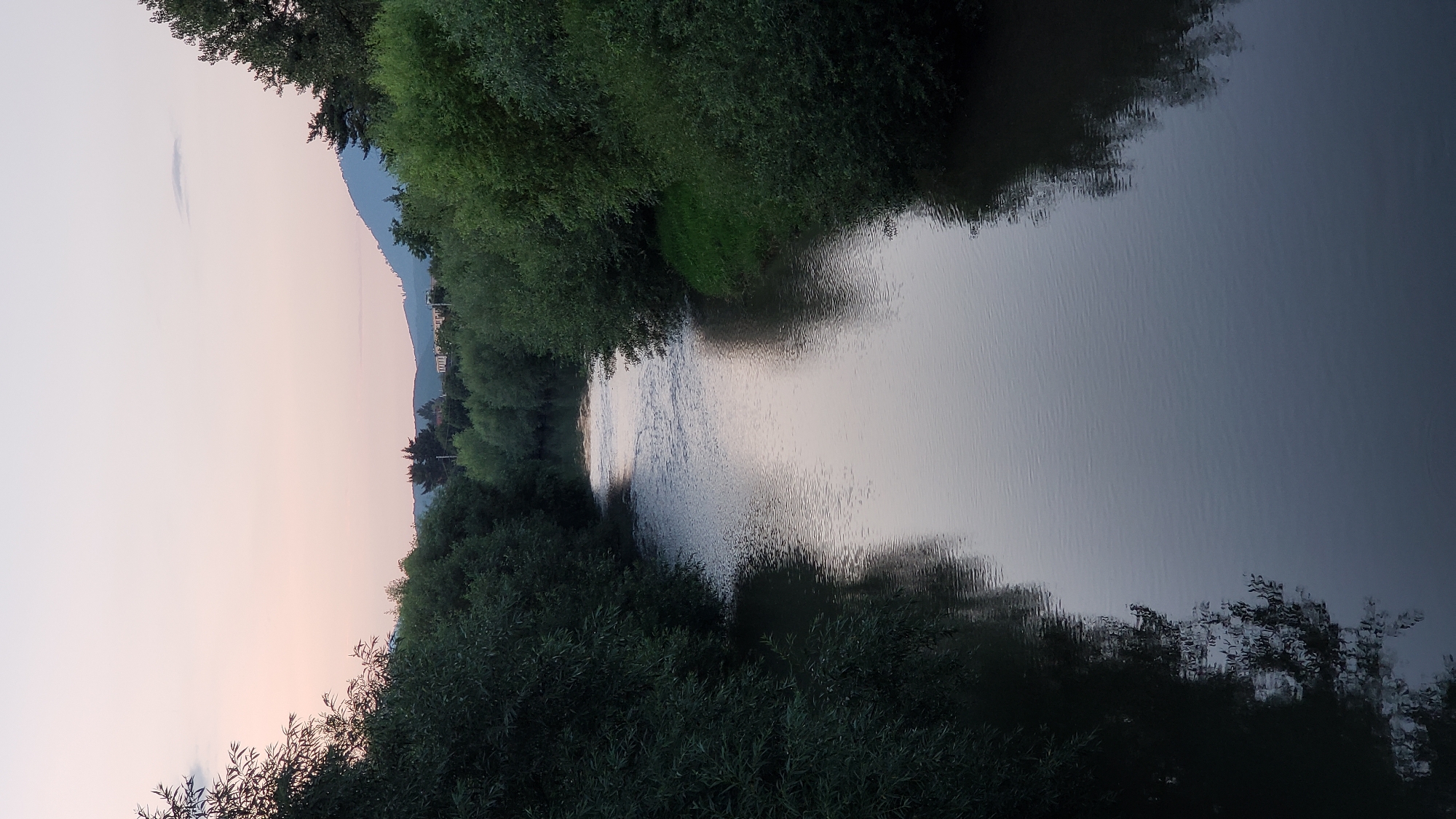 The image depicts a serene river flowing through a lush, tree-lined landscape, possibly during twilight given the soft hues of the sky. The river, calm and reflective, dominates the foreground, with trees and dense foliage flanking its banks. In the distance, rolling hills and what appear to be buildings suggest a proximity to a populated area. The overall impression is one of natural tranquility. Based on the request to include location information, this scene is likely situated in or near Prešov, Slovakia, given the context provided. There are no people or specific actions visible in the image, it's a static landscape.