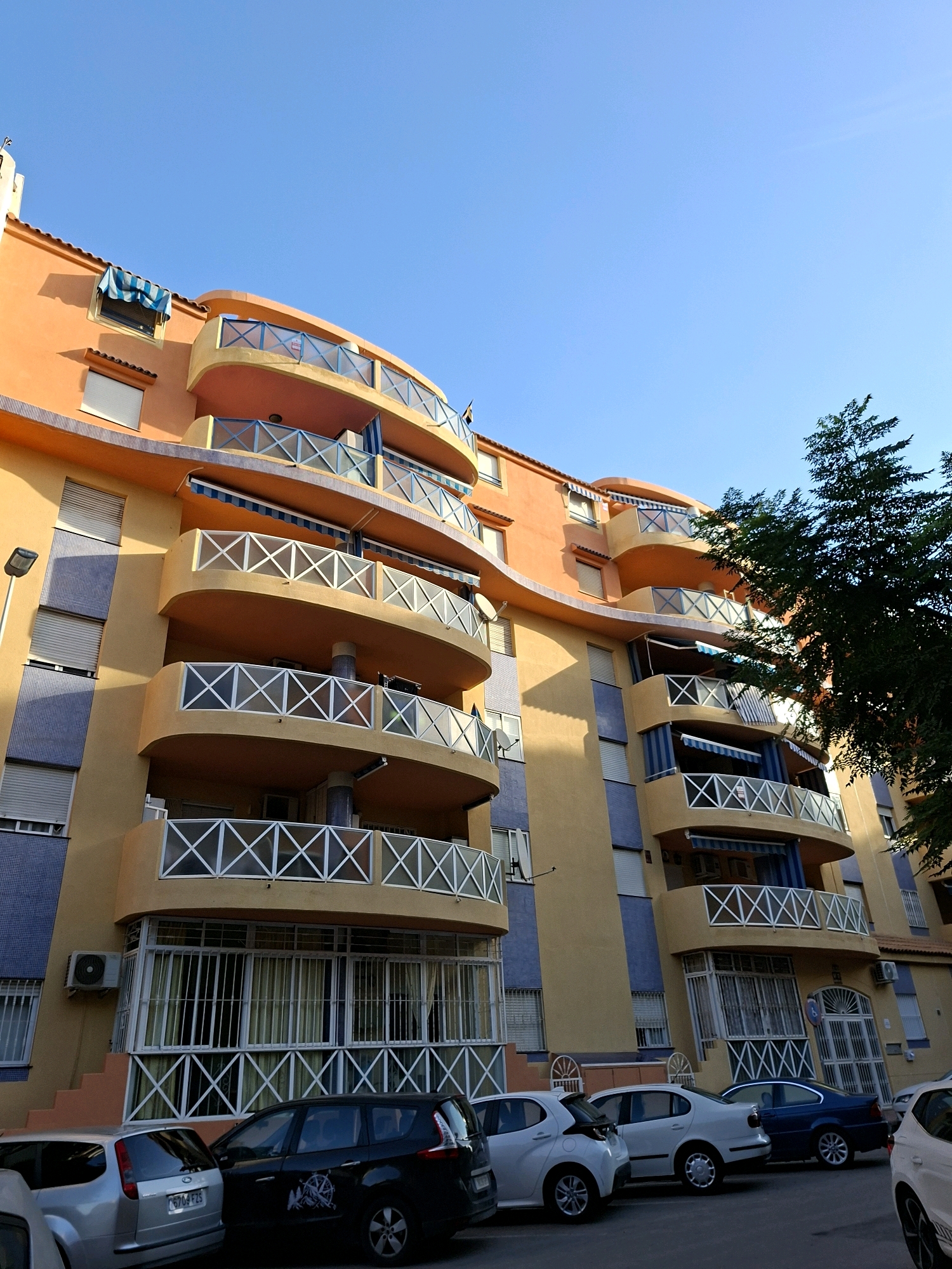 The image shows a residential building with a curved facade, painted in orange and yellow, with blue tiled sections. The building has multiple balconies with white cross-shaped railings and blue awnings. The sky is clear and blue. Several cars are parked in front of the building, including a silver hatchback, a black minivan with a circular emblem on the side, a white sedan, and a dark blue sedan. A mature tree with dark green foliage is visible on the right side of the image, casting shadows on the building. The building is located in Torrevieja, Spain, an urban environment. No people are visible in the image. The lighting suggests it is daytime, possibly late afternoon, due to the distinct shadows.