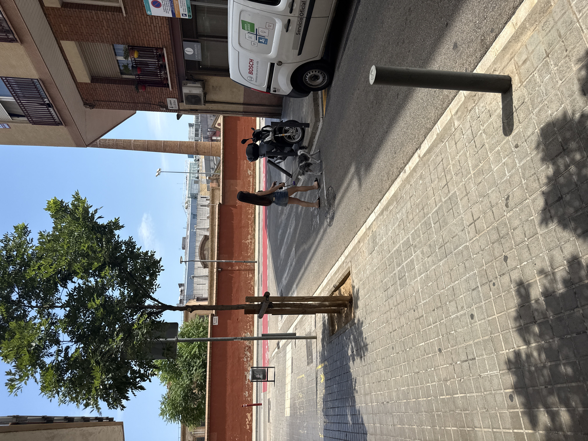 A young woman with long dark hair, wearing a denim skirt and sandals, is walking a medium-sized dog on a leash across a street in L'Hospitalet de Llobregat, Spain. The dog is black and white. The woman and dog are in the foreground, moving from left to right. Behind them, to the right, is a white Bosch service van with graphics indicating services. A black scooter is parked to the left of the van. The street has a pedestrian crossing marked with white lines. To the left of the street is a paved sidewalk with a tiled pattern, and a young tree is planted in the sidewalk. Beyond the sidewalk, there is a red wall. The sky is clear and blue. Buildings are visible in the background, including a brick building and a taller, modern structure.