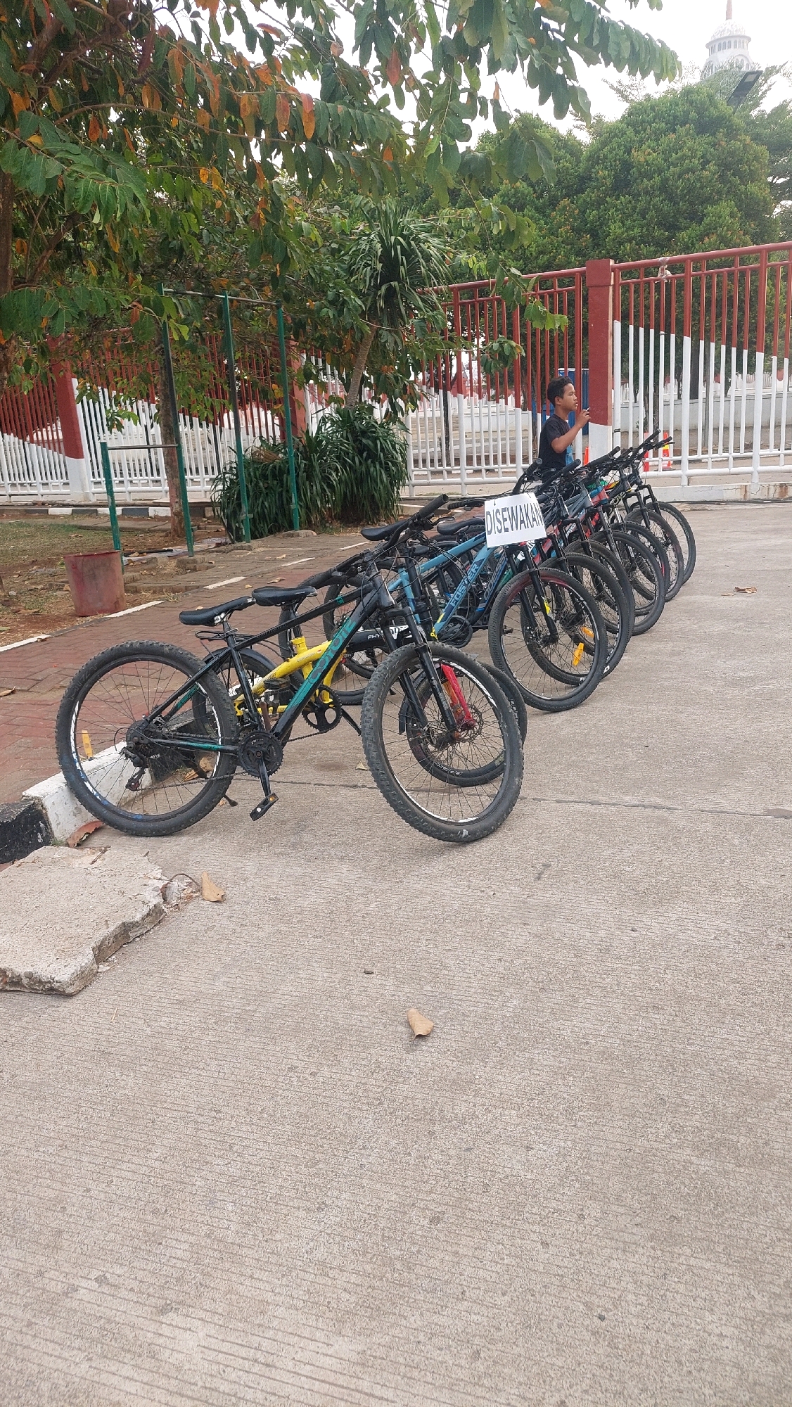 A group of ten bicycles are parked in a row on a concrete surface in what appears to be a park or public area in Cibinong, Indonesia. The bicycles are of various colors including black, blue, and yellow. A sign that reads "DISEWAKAN" (which translates to "For Rent" in Indonesian) is attached to one of the bicycles. A young man is standing behind the bicycles, looking towards the right side of the frame. He is wearing a dark t-shirt. In the background, there is a red and white fence, trees, and lush greenery. The overall environment suggests an outdoor recreational setting.