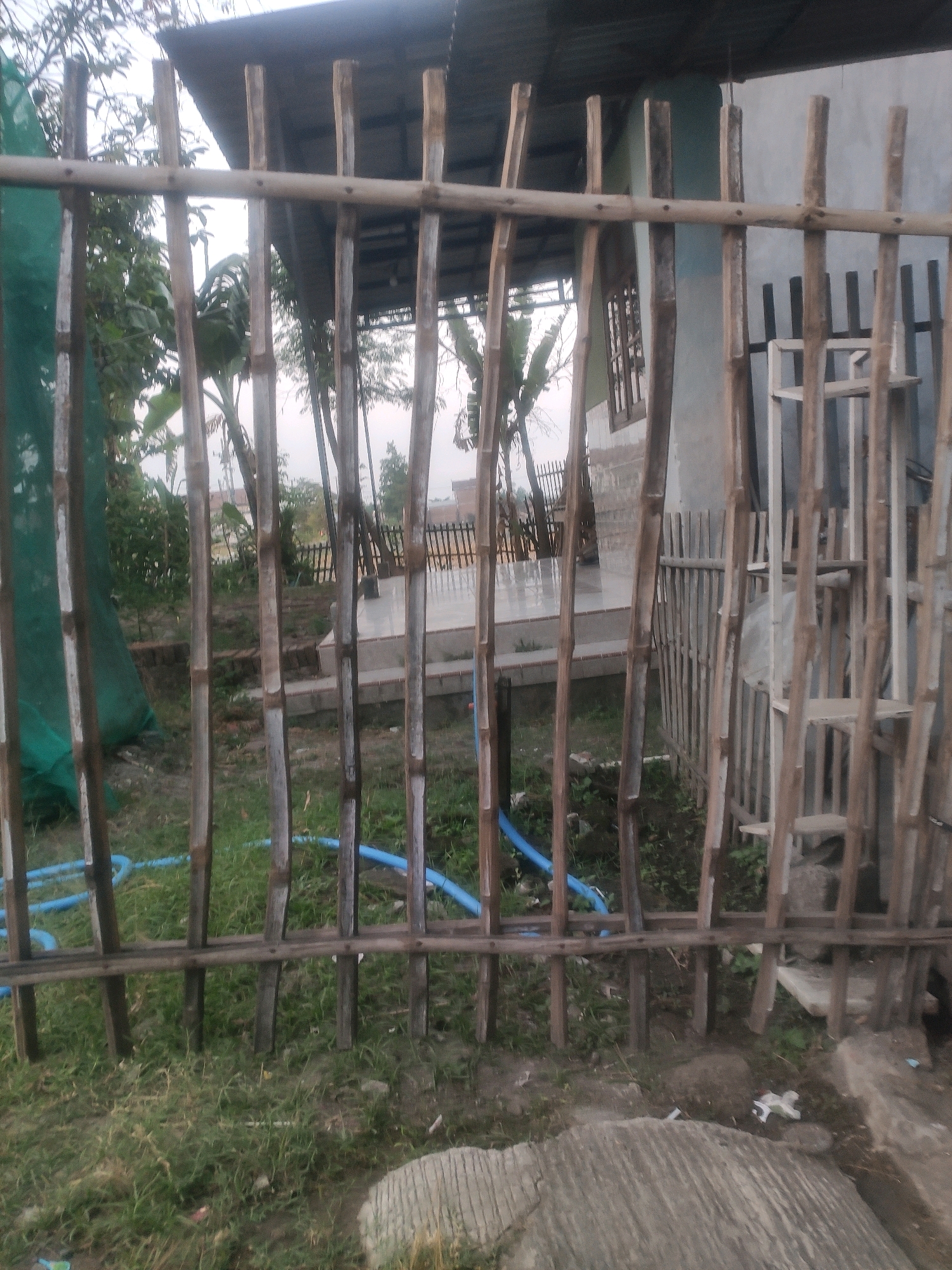 The image captures a rustic, outdoor scene in what appears to be a rural or semi-urban area of Bongkot, Indonesia. The foreground is dominated by a fence constructed from vertical bamboo poles, lashed together with horizontal bamboo crossbeams. This fence creates a visual barrier, with the space behind it revealing more details of the environment.
Through the fence, a structure with a dark, corrugated roof is visible, supported by wooden posts. Part of a light blue wall and a window with a wooden frame are also apparent on the building. The ground behind the fence is covered in a mixture of dry grass, dirt, and some debris. A bright blue hose is coiled and runs across the ground in some sections. To the left, a section of green netting is draped over some vegetation.
In the background, there is a glimpse of more greenery, including trees and foliage. Another, more dilapidated fence made of vertical wooden slats can be seen further back. The overall impression is one of a simple, functional, and somewhat unkempt outdoor space. The lighting suggests it might be late afternoon or early morning, with overcast conditions contributing to the muted tones of the scene. No people are visible in the image.