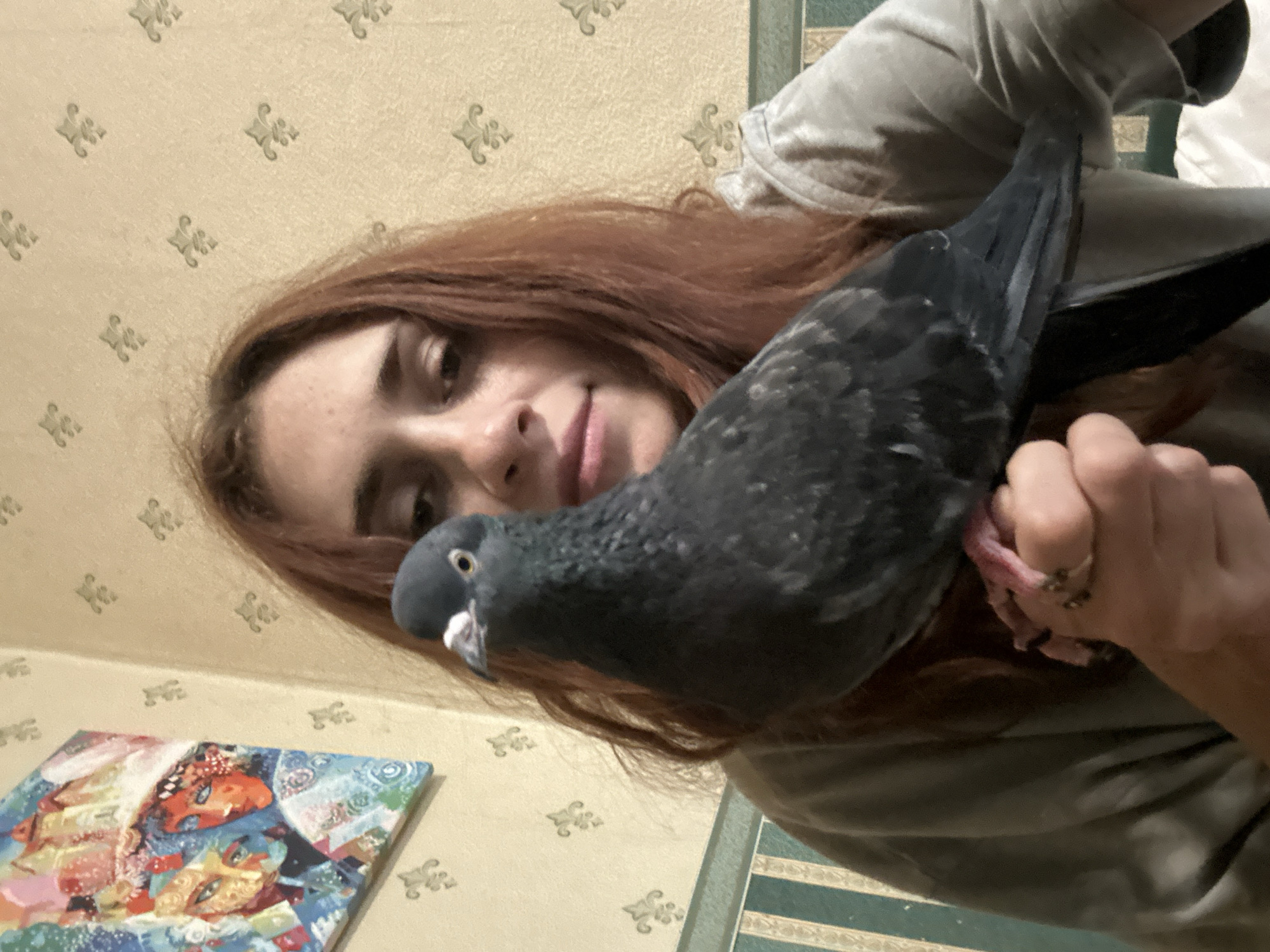 A close-up, waist-up shot shows a person holding a dark gray pigeon. The person has long, reddish-brown hair and is wearing a gray sweatshirt. The pigeon is perched on the person's left hand, with its feet visible and gripping the hand. The pigeon's head is facing towards the camera, with its beak slightly open. In the background, there is wallpaper with a repeating pattern of ornate designs, and a colorful painting hangs on the wall to the left. The environment appears to be indoors. The image does not provide any information that would allow for the determination of a specific location in the city of Togliatti, Russia.