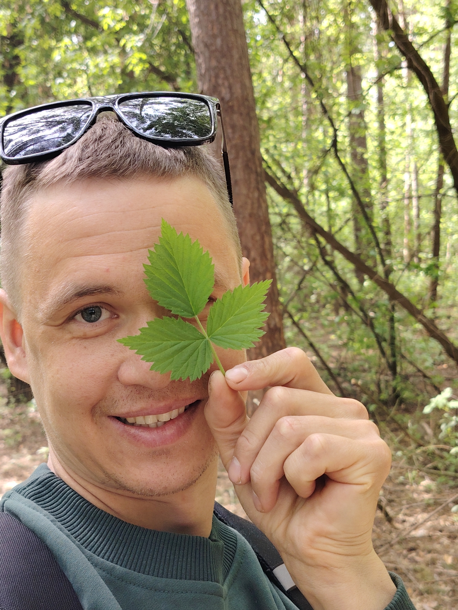 A man is holding a leaf over part of his face while taking a selfie in a forest. The forest has trees, green leaves, and branches. The man has a pair of sunglasses on top of his head and is wearing a sweater. The exact location in the city of Chaikovsky, Russia, cannot be determined with certainty.