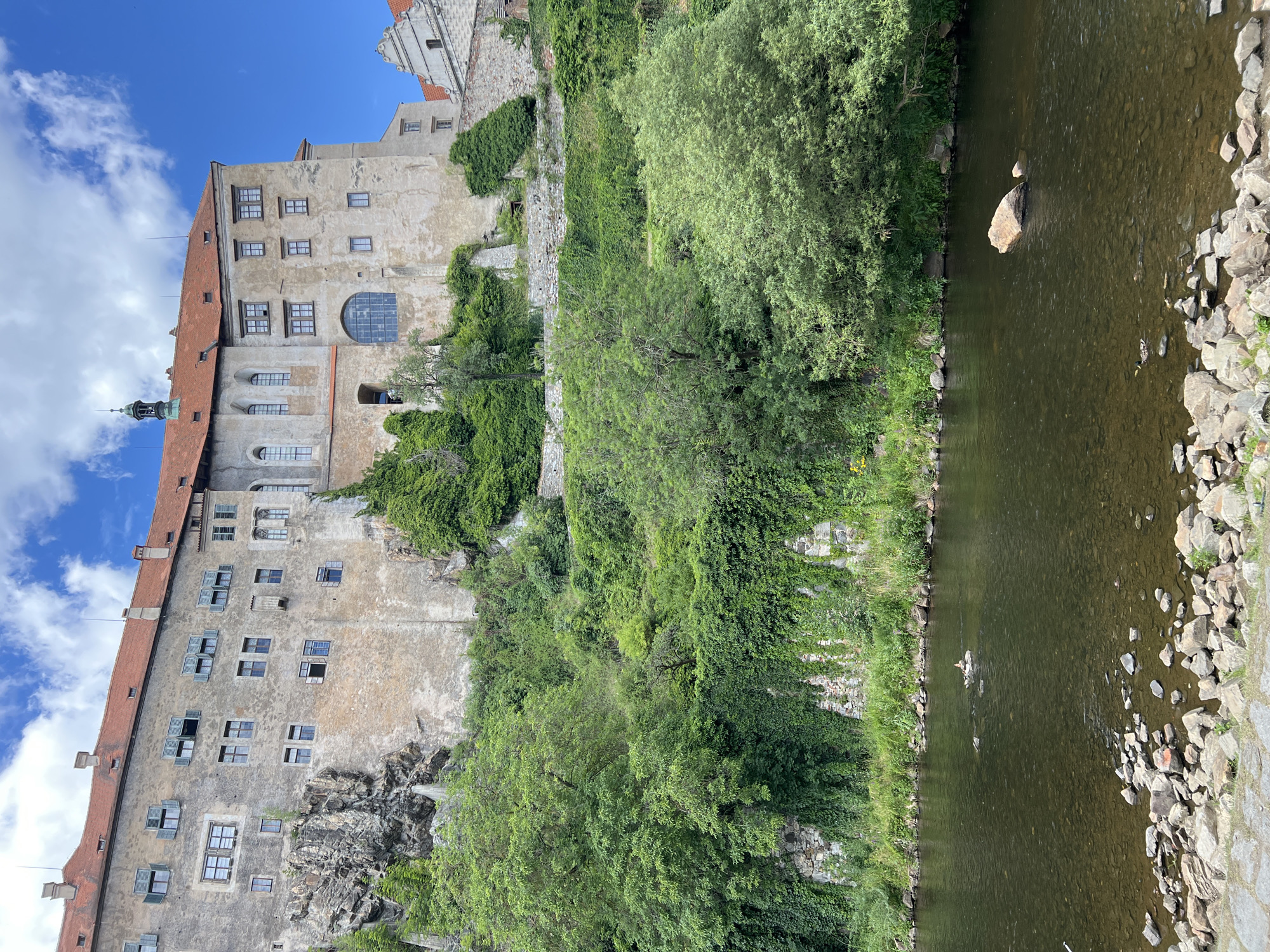 The image captures a picturesque view of a castle perched on a rocky incline, overlooking a tranquil river in the city of Unknown, Unknown. The castle, with its weathered stone facade, red tiled roof, and numerous windows, is partially obscured by lush green foliage that cascades down the slope. The river in the foreground is clear, with visible rocks on its bed and along its bank. A single duck is seen swimming in the river, adding a touch of life to the serene scene. The sky above is a vibrant blue, dotted with fluffy white clouds, suggesting a pleasant day.