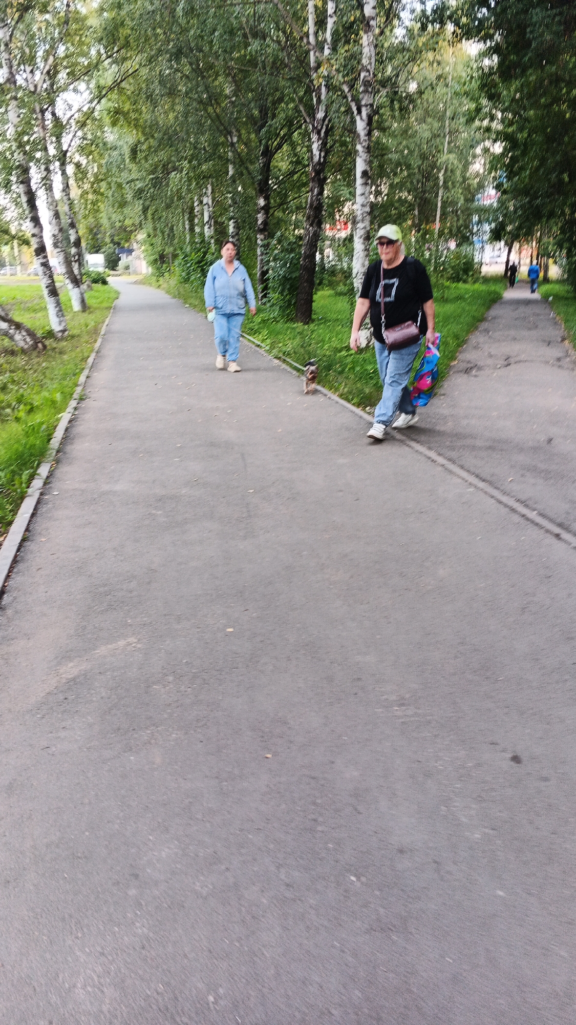 The image shows a paved pathway lined with trees and grass, likely in a park or residential area. Two women are walking on the path. The woman on the left, wearing a light blue tracksuit and white sneakers, is walking her dog, a small terrier-type breed, on a leash. The woman on the right, wearing a black t-shirt, blue jeans, white sneakers, and a green cap, is carrying a colorful bag and a darker shoulder bag. Another woman and a man are visible further down the path in the distance. The overall scene suggests a casual outdoor activity, likely in a city like Izhevsk, Russia, given the context provided, perhaps on a day with overcast skies.