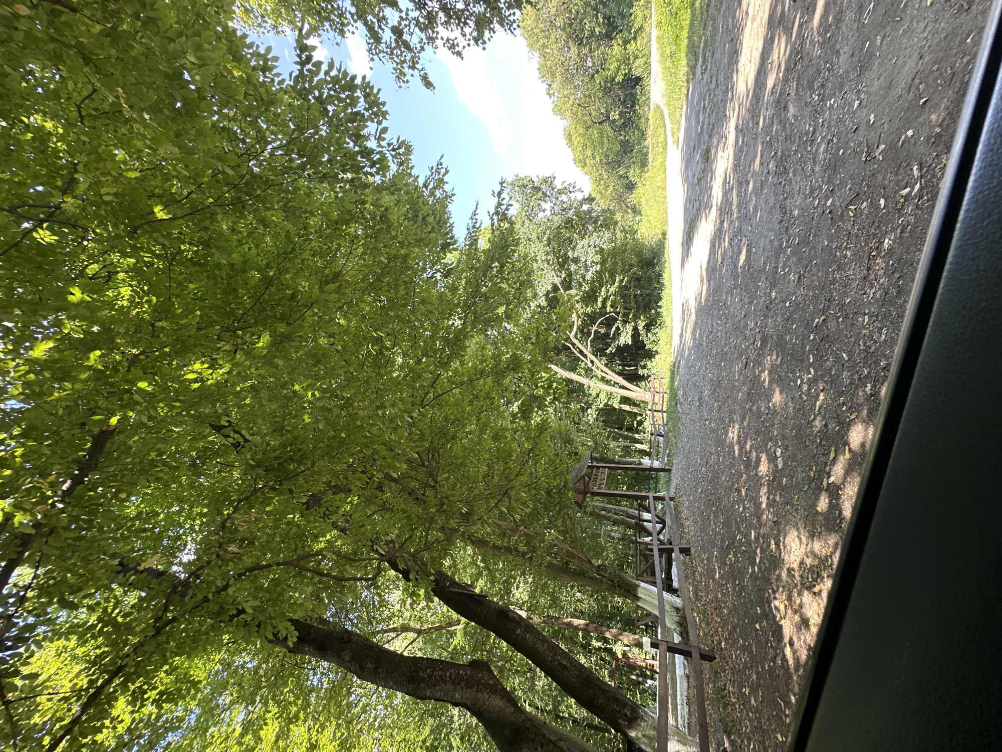 The image depicts a dirt road leading through a sun-dappled wooded area. The road curves to the right in the distance, with grass and trees lining its sides. In the foreground, large trees with dense green foliage arch over the scene, casting shadows on the road. A wooden fence runs along the left side of the road, bordering a cleared area with some sparse vegetation. Behind the fence, a wooden structure, possibly a gazebo or information kiosk, is visible. The sky is blue with scattered white clouds. The overall impression is a tranquil, natural setting.