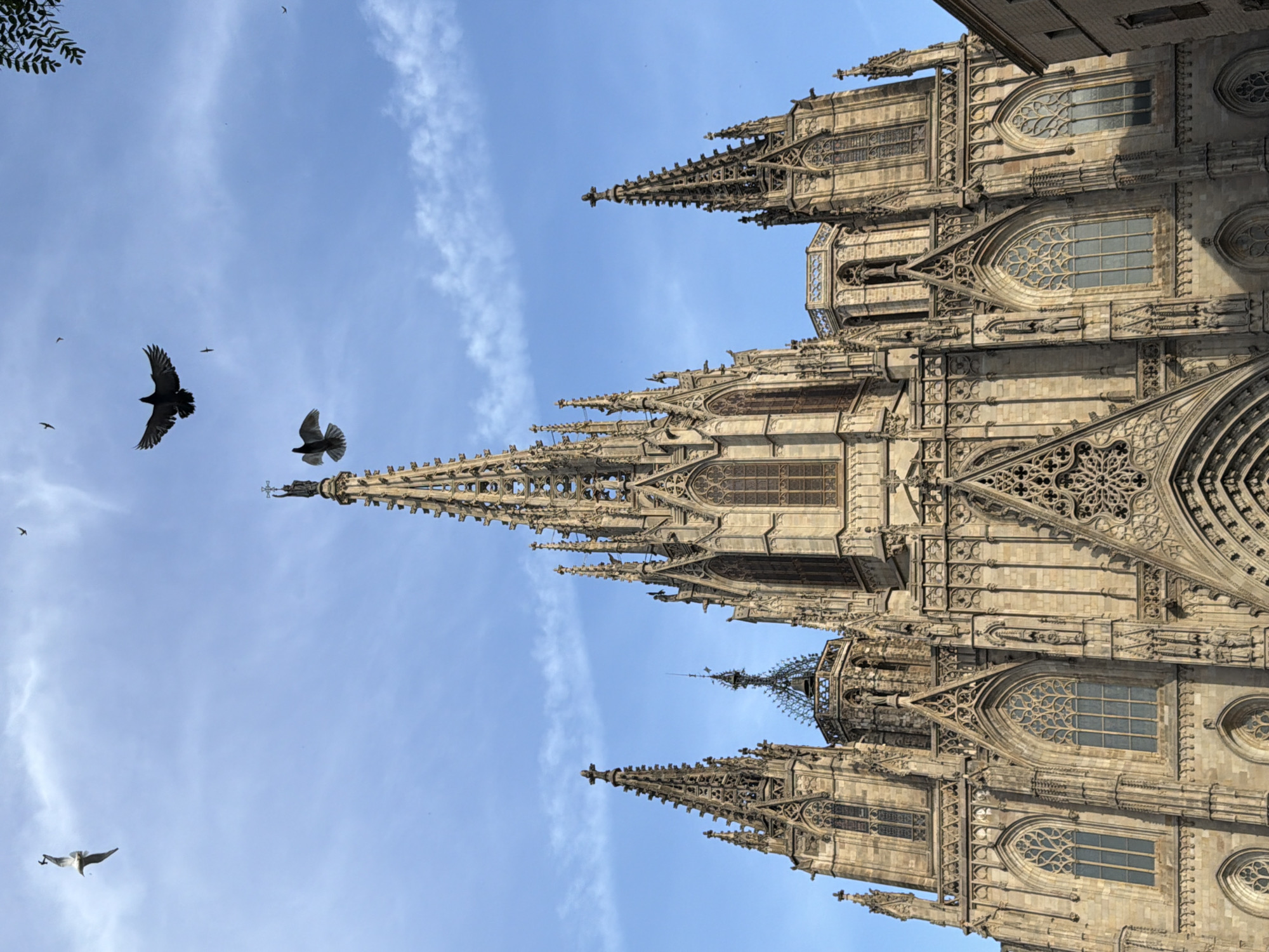 The image shows a low-angle view of the Barcelona Cathedral, a Gothic Roman Catholic cathedral located in the heart of the city's Gothic Quarter, Barcelona, Spain. The imposing facade is characterized by its intricate stonework, tall spires, and arched windows. Several birds are captured in flight against a bright blue sky with scattered white clouds. One seagull is visible in the upper left quadrant, and two dark birds, possibly pigeons or doves, are flying near the center of the frame, with one large bird with outstretched wings in the upper center. The architectural details of the cathedral, including its ornate carvings and statues, are prominent. The scene is devoid of any people.