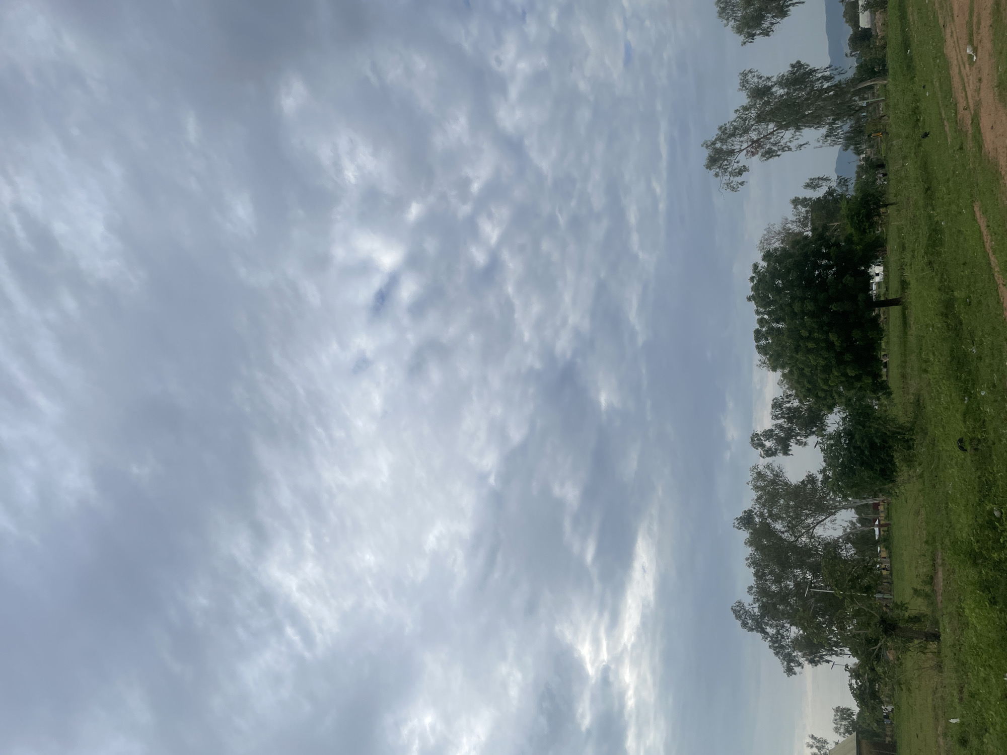 This image captures a view of a grassy landscape with scattered trees under a cloudy sky in Jauro Yinu, Nigeria. The foreground consists of dry dirt ground with sparse green vegetation. Beyond that, a verdant field stretches out, dotted with various trees of different sizes and foliage densities. Several of these trees exhibit thin, wispy branches. In the middle ground, hints of buildings with corrugated roofs are visible amongst the trees. In the background, distant hills are faintly discernible. The sky is filled with a layer of grey, textured clouds, suggesting an overcast or potentially rainy day. No people or animals are clearly identifiable in the scene.