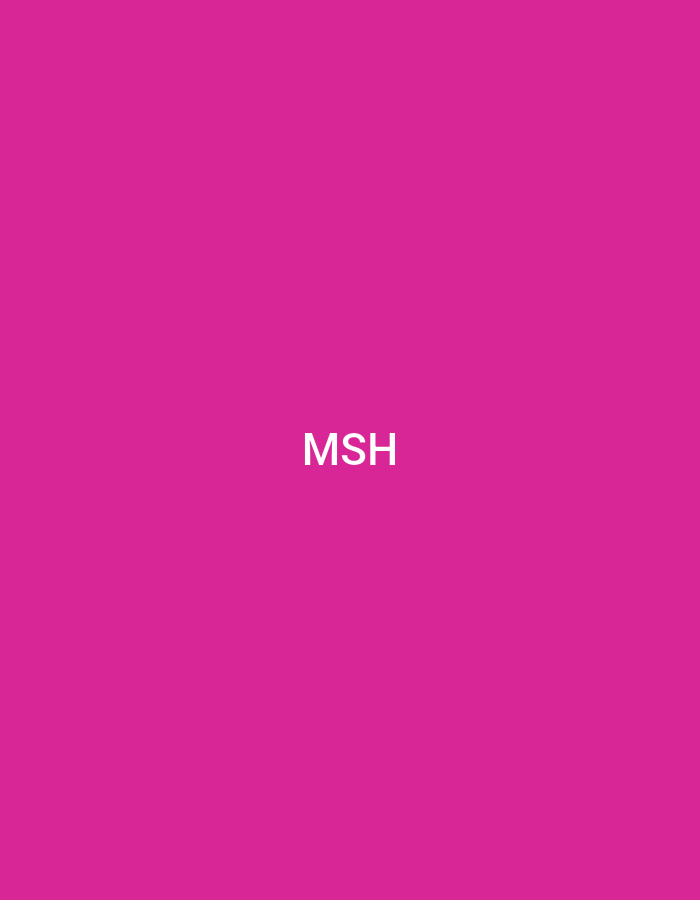 The image displays a solid magenta background, specifically in the fuchsia range. Centered horizontally and vertically on this monochromatic field are three uppercase letters: "MSH". These letters are rendered in a white, sans-serif typeface. No other subjects, objects, people, actions, or environmental details are present within the frame. The image does not contain any visual information or indicators that would allow for the identification of a specific geographical location, including the city of Casablanca, Morocco.