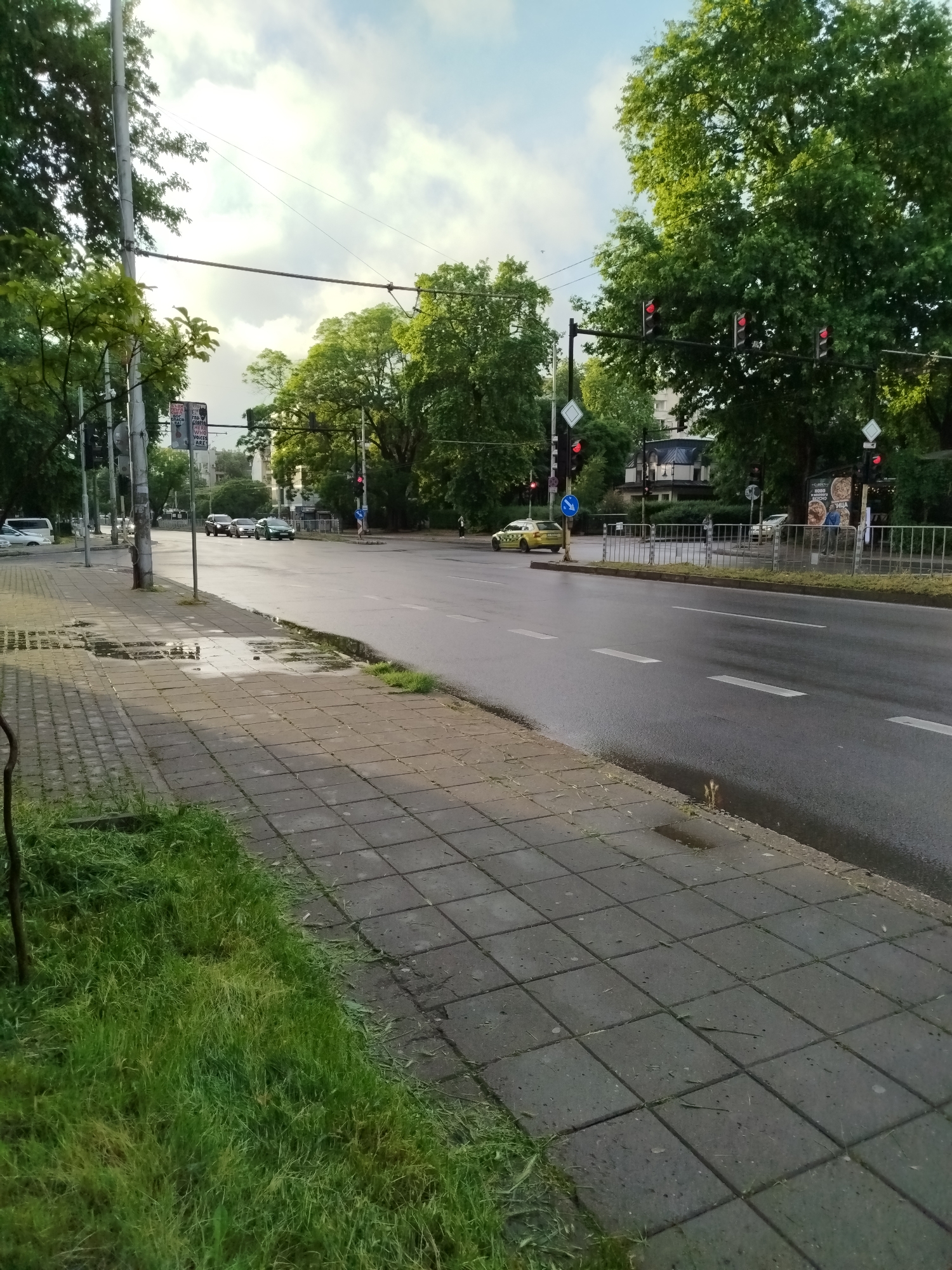 The image depicts an urban street scene in Varna, Bulgaria, shortly after a rain shower. The asphalt road is wet and glistens, featuring clear white lane markings, and puddles are visible on the grey concrete-tiled sidewalk to the left. Adjacent to the sidewalk is a strip of lush green grass, with scattered grass clippings indicating recent maintenance. The sky is overcast with brighter patches, suggesting it is either morning or late afternoon.
The main subjects are the multi-lane road and its surroundings. Several sets of traffic lights are prominent, all illuminated red, indicating that vehicle traffic is currently halted. On the right side of the road, a yellow taxi is stopped at a red light, followed by a silver car. Further down the street on the left, a dark SUV/sedan and a green car are also stopped. A white van is partially visible in the distant background to the left.
Numerous utility poles and streetlights line the road, supporting overhead wires. Attached to a pole on the left, a cluster of small signs or posters displays fragmented text, including words like "STOP," "SHOP," "OPEN," "VOICE," "AREA," and possibly "MOP." On the right, metal pedestrian barriers separate the road from an area featuring a large billboard or poster. This billboard appears to advertise food, possibly pizza, with visible Cyrillic text such as "Вкусно" (Tasty) and "Пица" (Pizza).
Two people are faintly visible in the scene: one walking behind the metal barriers on the right, near the billboard, and another barely discernible further down the street on the right. Road signs such as diamond-shaped "Priority Road" signs and a blue circular directional arrow sign are also present. The overall atmosphere is calm and fresh, characteristic of a city street after rainfall, with no strong emotions conveyed.