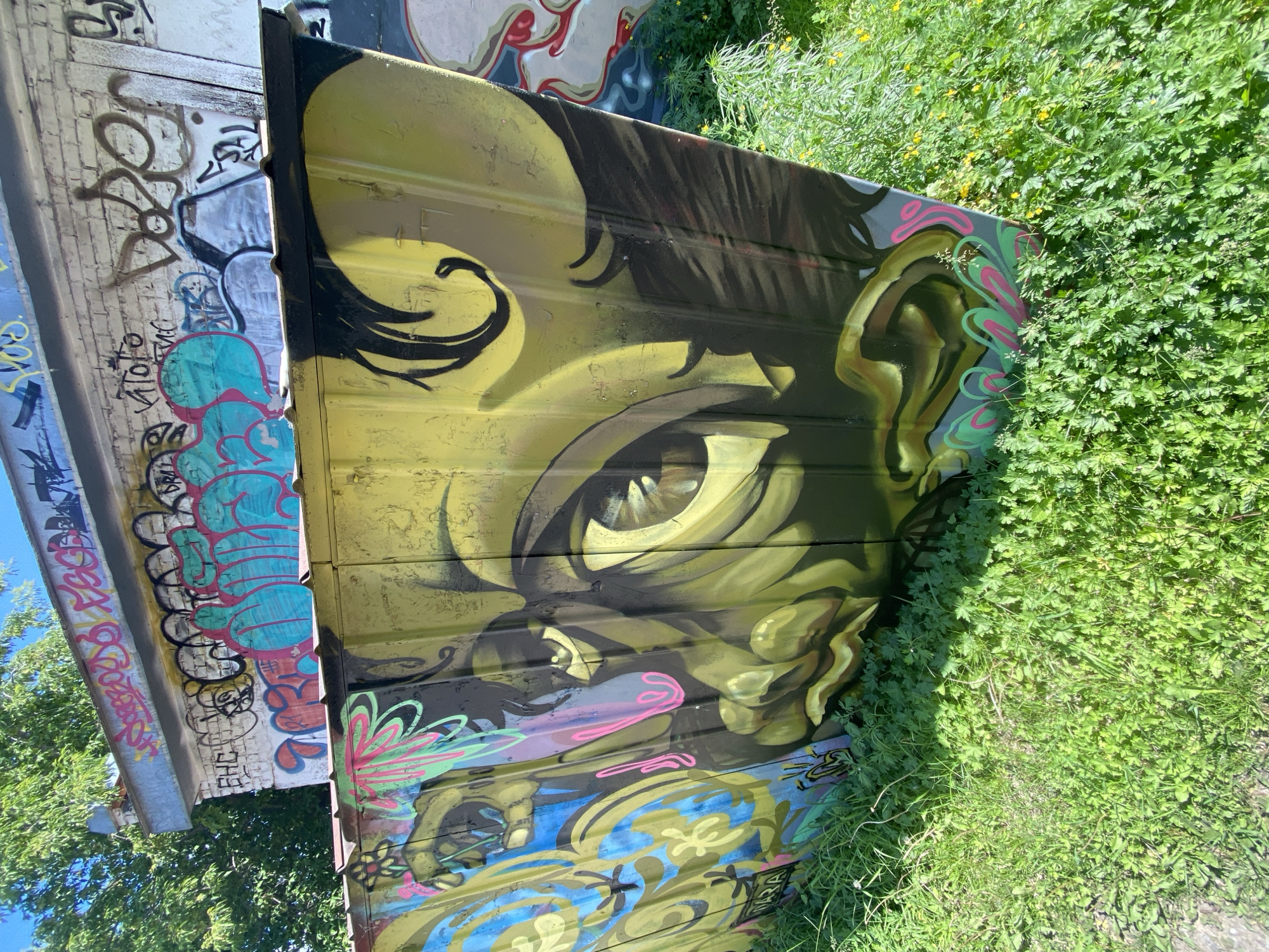 The image shows a section of a corrugated metal wall covered in graffiti, located outdoors. The graffiti features a large, stylized face with prominent eyes and lips rendered in shades of yellow, green, and black. On the left side of the wall, there is additional graffiti with blue and pink abstract designs and floral elements. The wall itself appears to be part of a structure that also has a brick section above it, which is also covered in various tags and graffiti in different colors, including pink, turquoise, and brown.
The ground in front of the wall is covered with lush green grass and some smaller flowering plants, suggesting a natural or semi-natural environment. The lighting indicates it is daytime, with shadows cast on the grass. In the background, out of focus, a green tree with visible foliage is present, and the sky is visible, appearing blue. The overall scene suggests an urban or semi-urban location where graffiti art is prevalent. There are no people visible in the image.
Without additional context or identifying markers, it is not possible to definitively determine the specific location within Khabarovsk, Russia.