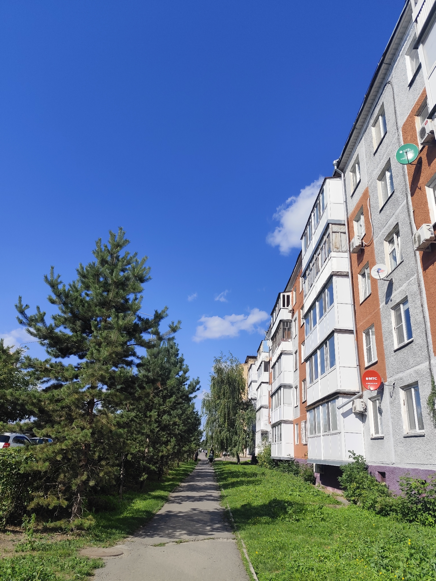 This is an eye-level, outdoor, daytime, medium shot photograph taken in Petropavl, Kazakhstan. The image depicts a residential apartment building with a sidewalk in front of it, flanked by trees and grass. The building is several stories high, with a gray and orange facade and white-trimmed balconies. There are air conditioning units mounted on the exterior walls, and satellite dishes are visible on the balconies. One satellite dish is red with the "MTC" logo. The sidewalk is paved and curves to the right, leading towards a distant group of people walking. To the left of the sidewalk are several tall, mature pine trees, a smaller deciduous tree, and a dense green hedge. Beyond the trees, parked cars are visible. The ground is covered in green grass, with some yellow wildflowers. The sky is a clear, bright blue with a few scattered white clouds. The overall scene suggests a typical urban residential area in a temperate climate.