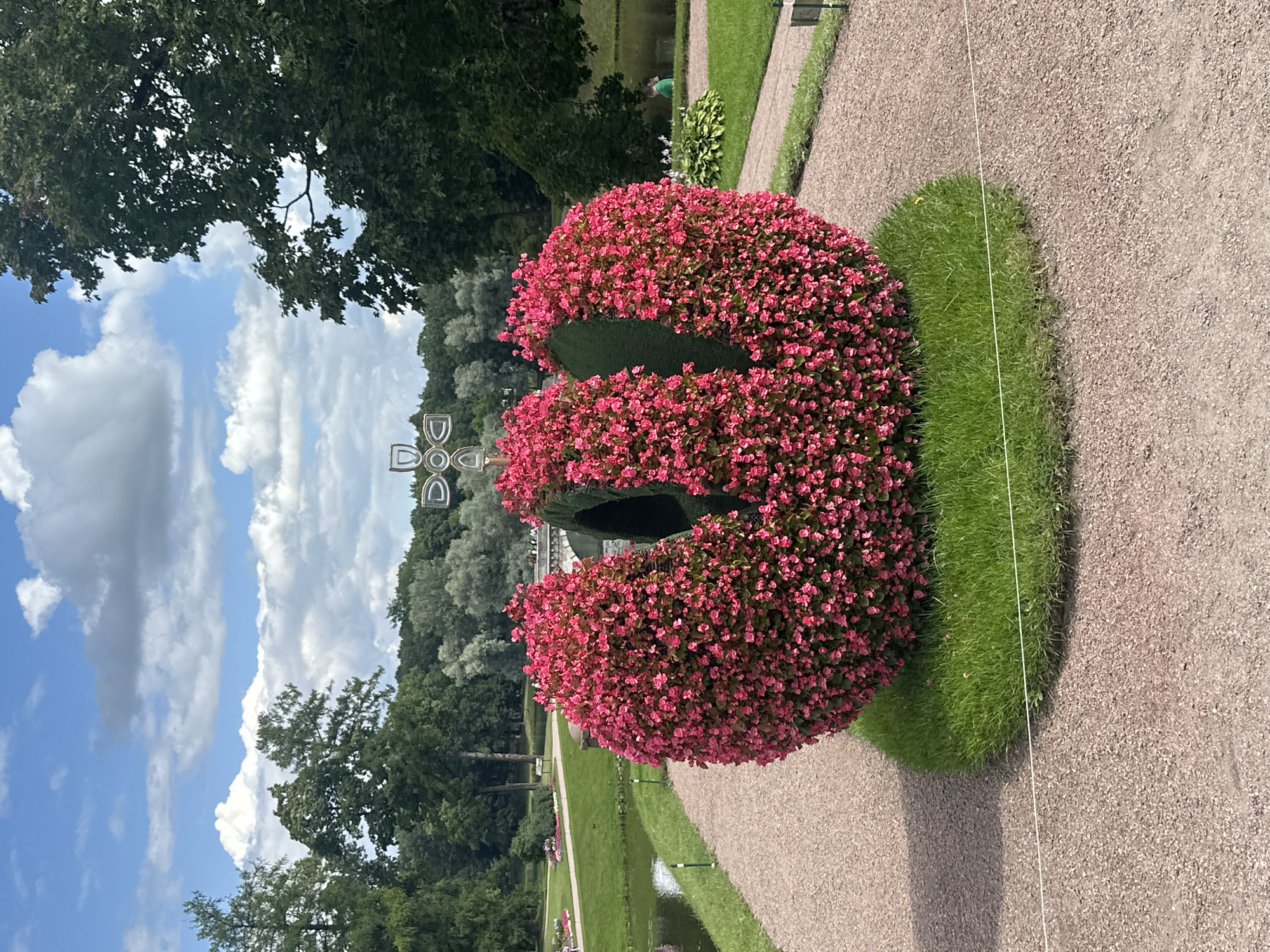 The image depicts a large, spherical topiary in the foreground, adorned with abundant pink flowers. It sits on a circular patch of vibrant green grass, which is itself situated on a gravel path. Behind the topiary, a body of water, likely a canal or pond, is visible to the left, bordered by a grassy area and more trees. A white metal bridge spans the water in the mid-ground. In the distance, a forest of lush green trees forms the backdrop. Above the trees, a clear blue sky with scattered white clouds dominates the upper portion of the frame. A decorative metal cross, resembling a Celtic cross with circular motifs, stands behind the topiary, also against the sky. The setting is likely a park or garden, possibly within the grounds of the Gatchina Palace in Gatchina, Russia, given the architectural elements and formal garden design. The overall scene is tranquil and picturesque, suggesting a pleasant day outdoors.