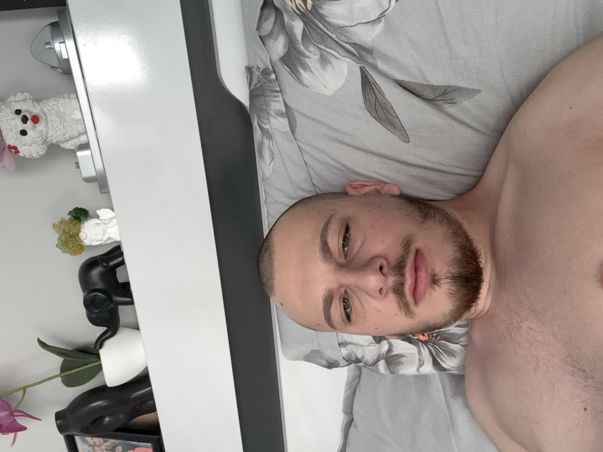 The image portrays an adult male positioned in a bed, looking directly into the camera. The setting is an indoor bedroom in Stara Zagora, Bulgaria. The individual has a shaved head, a mustache, and a beard, and is shirtless. He is lying on grey bedding adorned with a floral pattern. Behind the subject, a headboard with dark grey and white sections is visible. Above the headboard, a white floating shelf holds several decorative objects: a black framed photograph, a black hand-shaped decorative item, a white pot containing a purple artificial orchid, a black elephant figurine, a white bust with green and brown moss-like material, a white ceramic dog figurine with a red bow, and two silver charging stands.