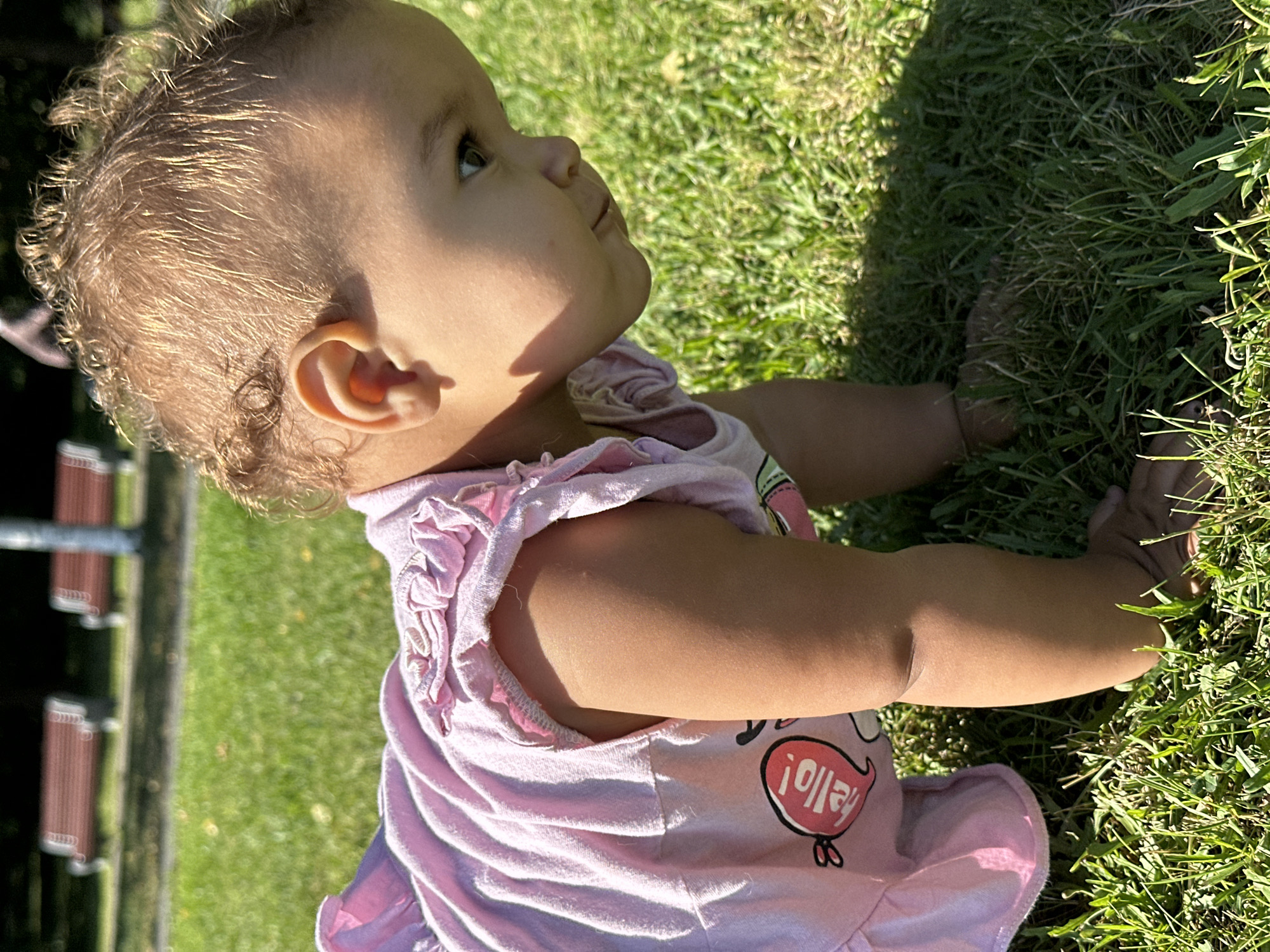 A young child, appearing to be a toddler, is captured from the side as they crawl on bright green grass. The child wears a pink dress with ruffled details on the shoulders and a graphic of a red speech bubble with the word "hello!" and a small bee. The child's hair is light brown and curly. The background shows a sunny park scene with several red park benches and a tree trunk. The lighting suggests it is daytime. There is no information in the image to indicate the location is Petrozavodsk, Russia.