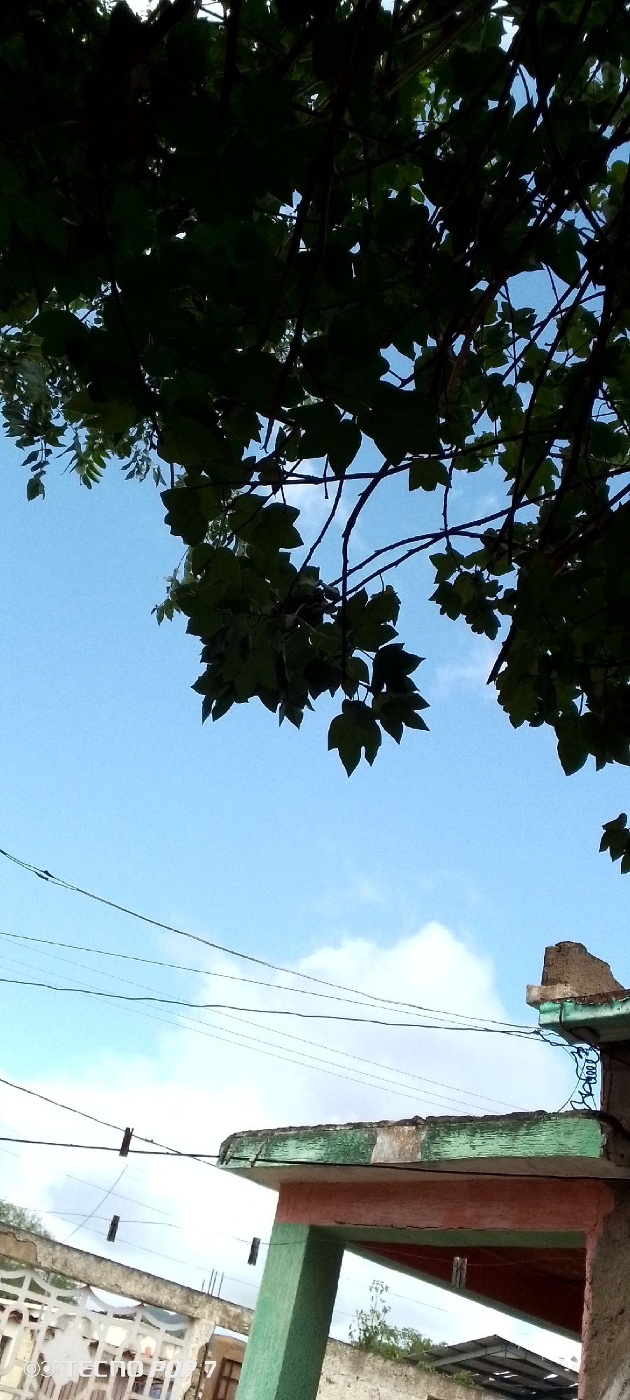 The image shows a view looking upwards towards a bright blue sky with some white clouds, partially obscured by the dark green leaves and branches of a tree in the foreground. Below the tree, a residential structure is visible, characterized by a green-painted support column and a reddish-pink overhang with a weathered green edge. Several thin, dark electrical or utility wires are strung across the sky in front of the building. In the lower left portion of the image, a white decorative concrete fence is partially visible, with some of its pattern discernable. The scene appears to be outdoors, in an urban or semi-urban setting, likely Altagracia, Venezuela, given the context. No people are visible in the image.