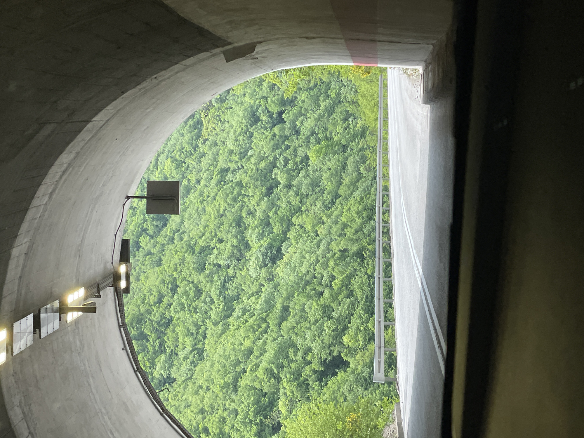 From inside a tunnel, a road leads out to an opening revealing a hillside covered with green trees. The tunnel is made of concrete and has evenly spaced lights on the left side. On the left, there is a sign mounted on the tunnel wall. The road has white dividing lines. The location is Baljvine, Bosnia and Herzegovina.