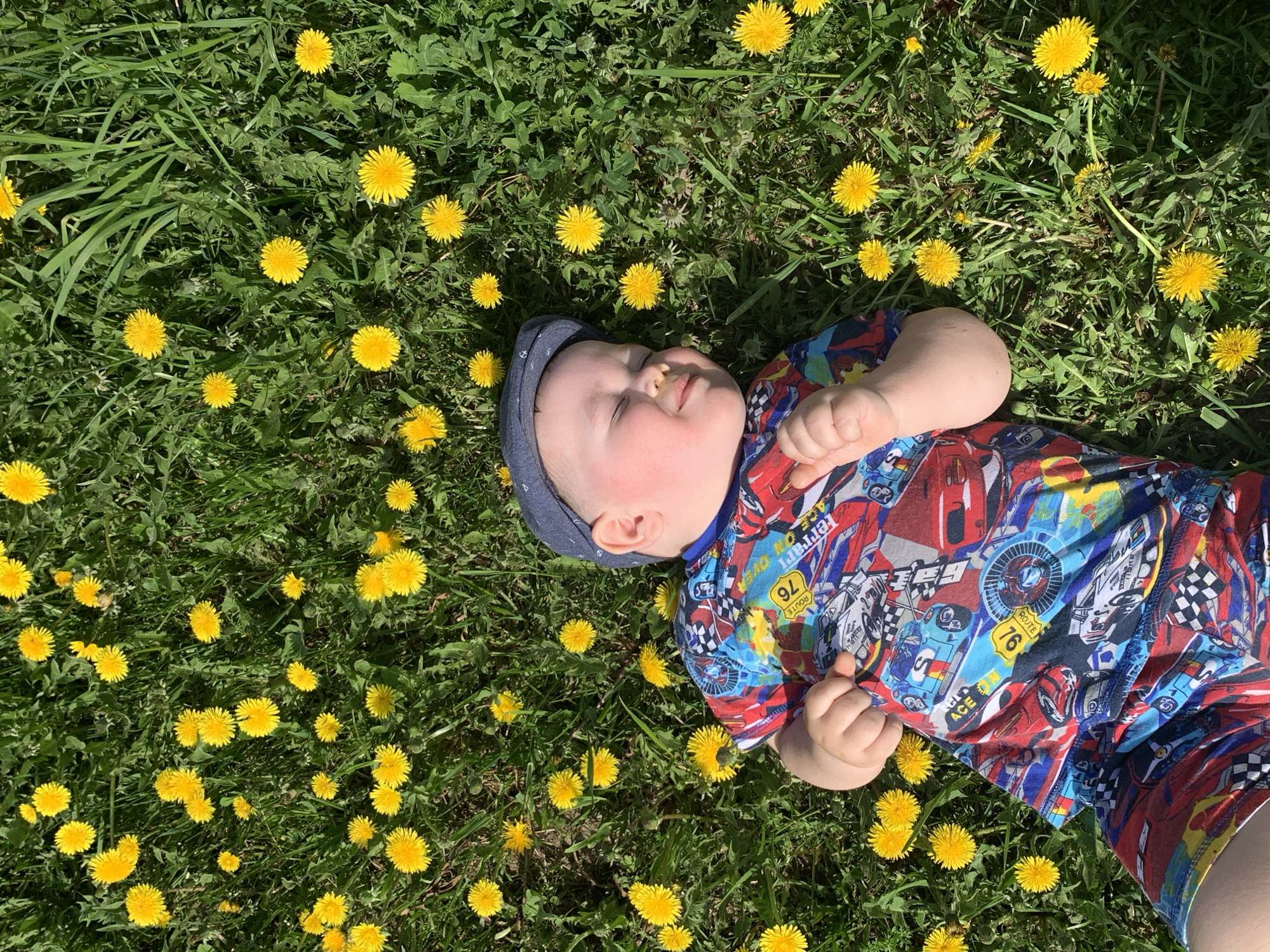 A young child lies on a bed of dandelions and grass in a sunlit outdoor setting. The child, wearing a navy cap and a multicolored shirt with a race car theme, is positioned on their back. Their hands are gently curled near their chest. The surrounding ground is densely populated with yellow dandelions and green grass. The scene appears to be in a natural, grassy area. No information suggests the location is in Фоки, Russia.