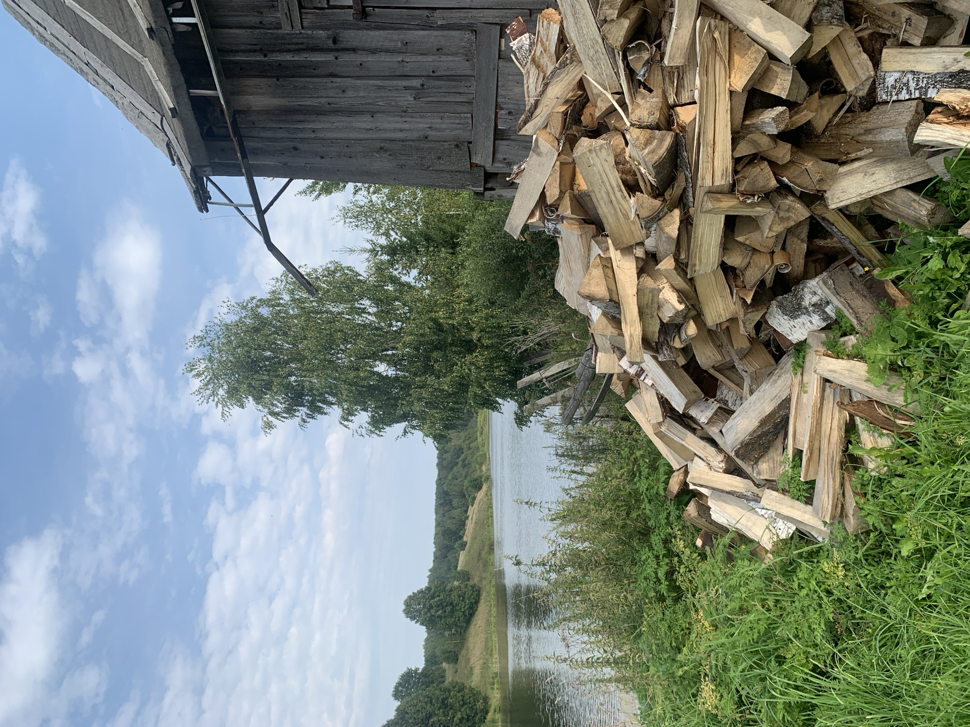 This is a high-angle, medium shot of a pile of cut firewood situated next to a rustic wooden structure. The firewood is predominantly light brown and grey, with varying thicknesses and lengths, stacked somewhat haphazardly. Behind the firewood, the wooden structure appears weathered, with vertical planks and a sloped roof made of grey material. To the left of the firewood and structure is a body of water, likely a river or lake, reflecting the sky and surrounded by lush green vegetation and trees. The landscape beyond the water consists of rolling hills covered in dense trees. The sky is partly cloudy with a mix of blue sky and white clouds. The scene evokes a rural or country setting, potentially in Zasechnyi, Russia, given the agricultural appearance and natural landscape. There are no people or animals visible in the image.