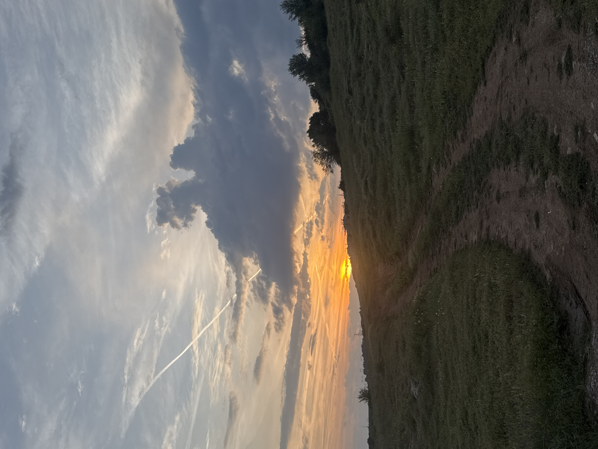 A vertical orientation photograph depicts a sunset scene in Dragovishtitsa, Bulgaria. The upper two-thirds of the image display a sky characterized by a blend of stratiform and cumulus clouds. The setting sun is positioned low on the horizon, left of center, emitting intense orange and yellow light that illuminates the surrounding clouds and the immediate horizon. Overhead, the sky transitions to lighter grey-blue tones with wispy clouds. Multiple linear contrails are visible, with one prominent white contrail traversing diagonally from the upper left quadrant downwards.
The lower third of the image shows a gently sloping, uncultivated hillside covered in mixed green and dried grasses. A winding dirt track, reddish-brown in color, originates from the lower center-right and ascends towards the illuminated horizon, curving slightly left. On the crest of the hill, primarily on the right side, a line of deciduous trees and bushes are silhouetted against the bright sky. Faint structural elements, possibly utility poles or distant buildings, are visible as dark silhouettes on the left horizon line. No individuals or animals are present in the frame. The scene is bathed in the warm, backlighting conditions of a late evening sun.