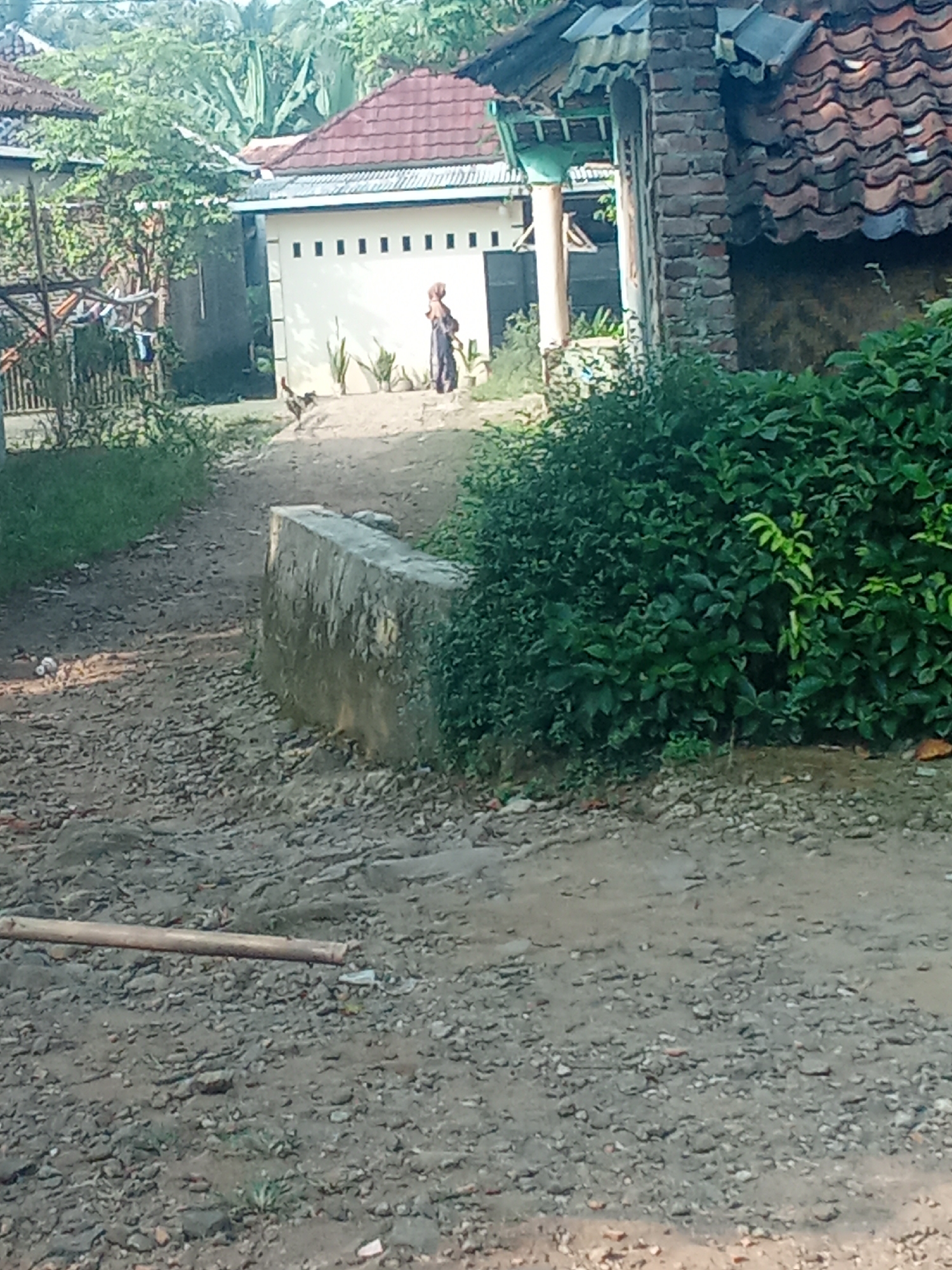 This is a medium-angle, outdoor, daylight shot of a village scene in Cempaka, Indonesia. The foreground is a dirt path covered with small stones. To the left, a brown wooden pole lies horizontally across the path. In the middle ground, a concrete barrier runs diagonally from the lower left towards the center, bordering a dense patch of dark green foliage on the right. Beyond the barrier, a dirt path continues towards a building with a white facade and a red tiled roof. This building has a row of square windows with dark openings. A person wearing a hijab and a patterned dress stands to the right of this building. To the left of the building, a chicken stands on the dirt path. Further in the background, more buildings with tiled roofs and lush green trees are visible. The overall impression is one of a rural, residential area.