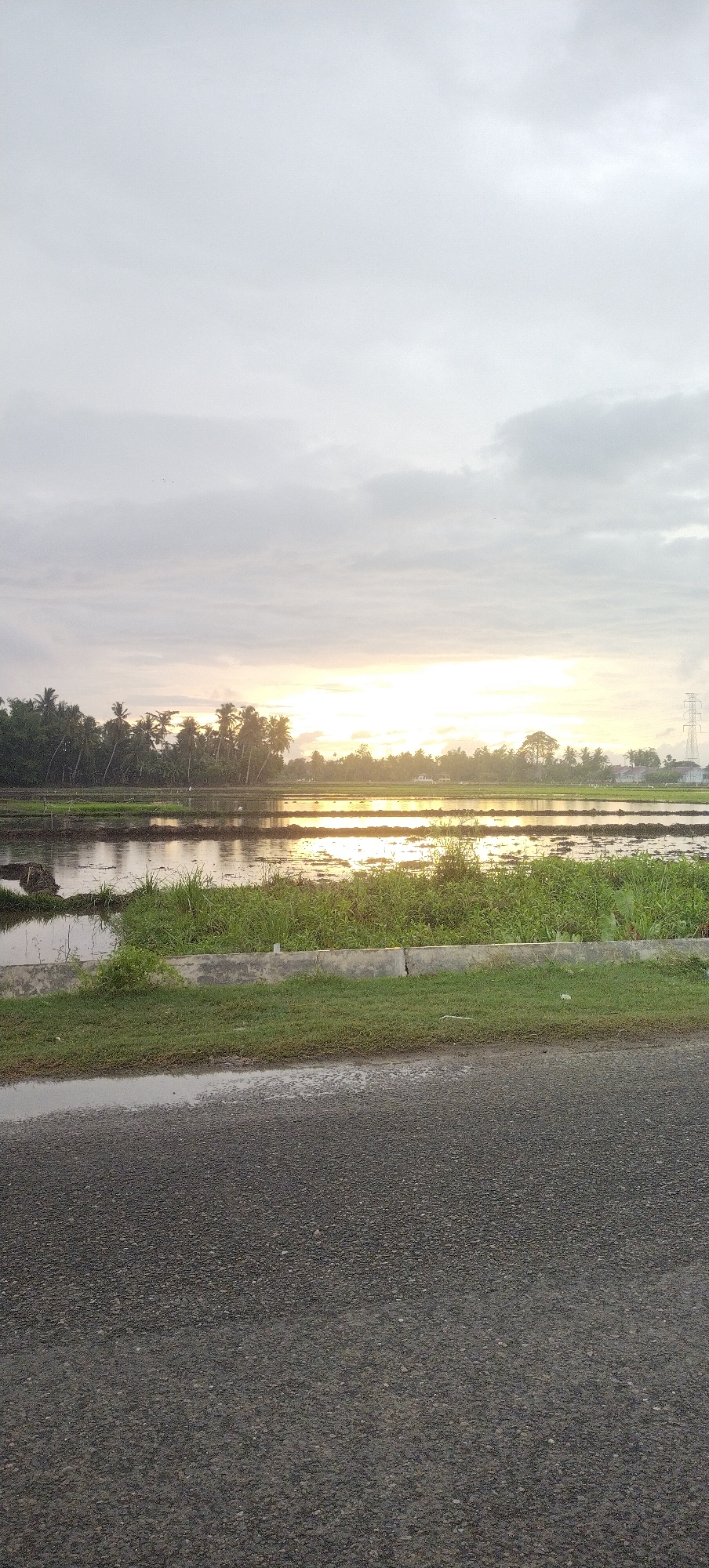 This image depicts a serene rural landscape in Keudejungkagajah, Indonesia, at what appears to be either sunrise or sunset. The foreground is dominated by a dark asphalt road, with a section to the left showing evidence of moisture, suggesting recent rain. Beyond the road, a strip of lush green grass borders a low concrete barrier.
The main subject of the image is a flooded rice paddy field, reflecting the muted colors of the overcast sky and the warm glow of the sun on the horizon. A dense line of palm trees and other tropical vegetation forms a natural backdrop to the paddy fields. In the distance, hints of structures, including a tall electrical pylon on the right, suggest the presence of a nearby settlement. The sky is largely filled with soft, diffused clouds, with a bright band of light on the horizon where the sun is positioned. There are no people or animals visible in the frame. The overall atmosphere is tranquil and reflective.