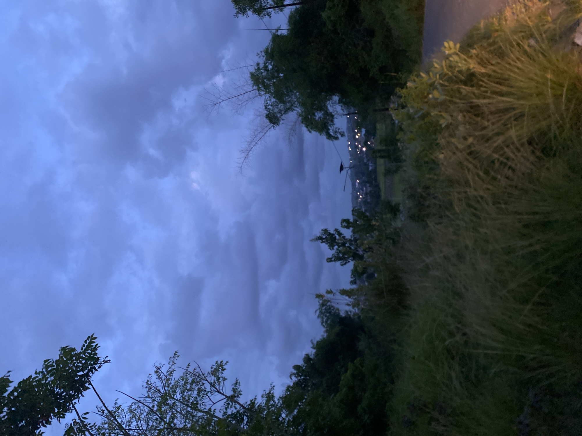 The image shows an outdoor scene at dusk in Meunasahteungkudigadong, Indonesia. The sky is filled with dark, layered clouds. The foreground is dominated by trees and bushes, partially obscuring a distant view of lights that likely indicate buildings or streetlights. The image is slightly rotated counter-clockwise.