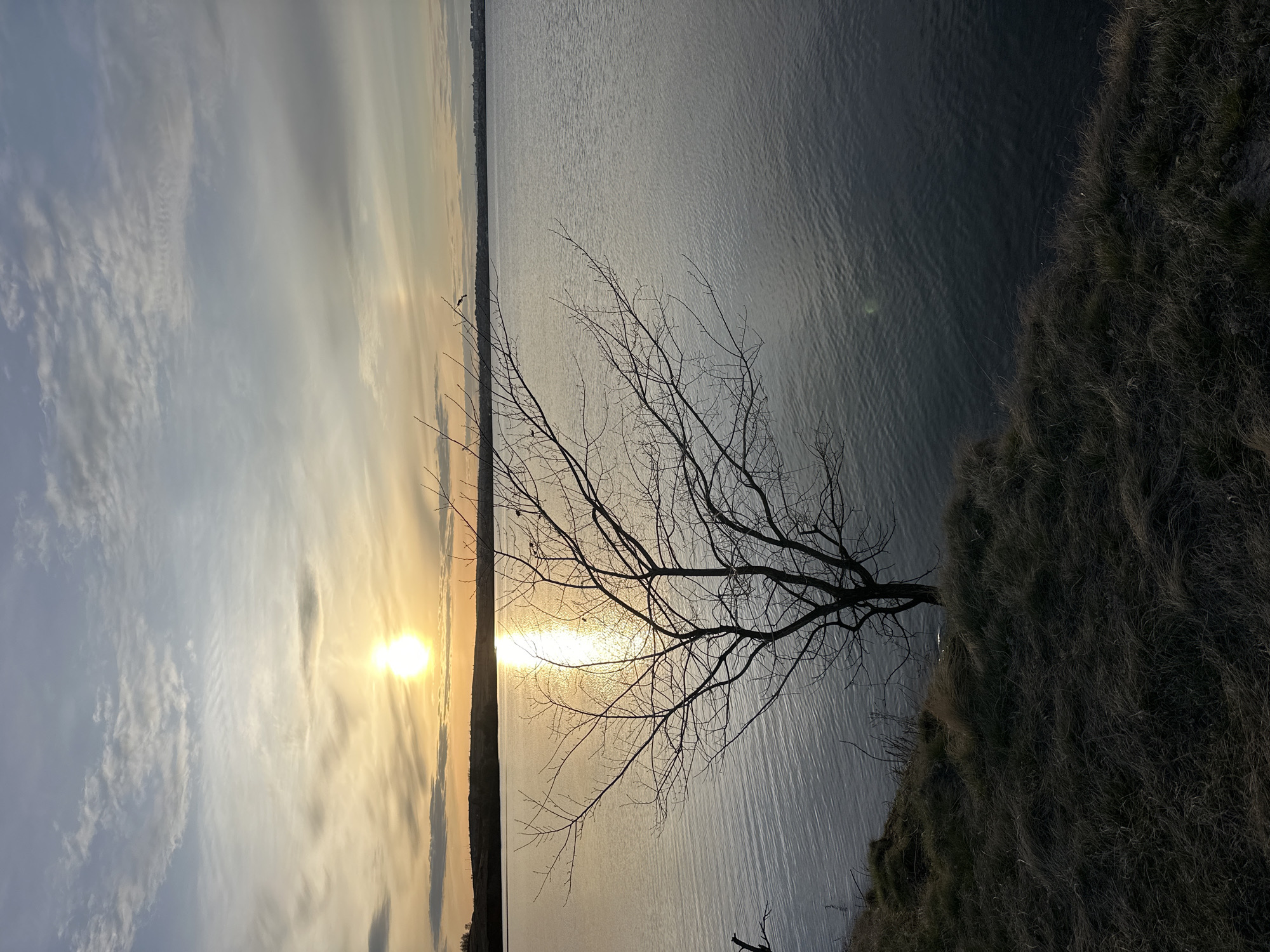 A scenic view featuring a sunset over a body of water. On the right side of the image is a grassy cliff with a bare tree silhouetted against the water and sky. The sun is setting on the left, casting a golden light on the water and sky. The overall scene is a tranquil and serene landscape. The location is Unknown, Unknown.