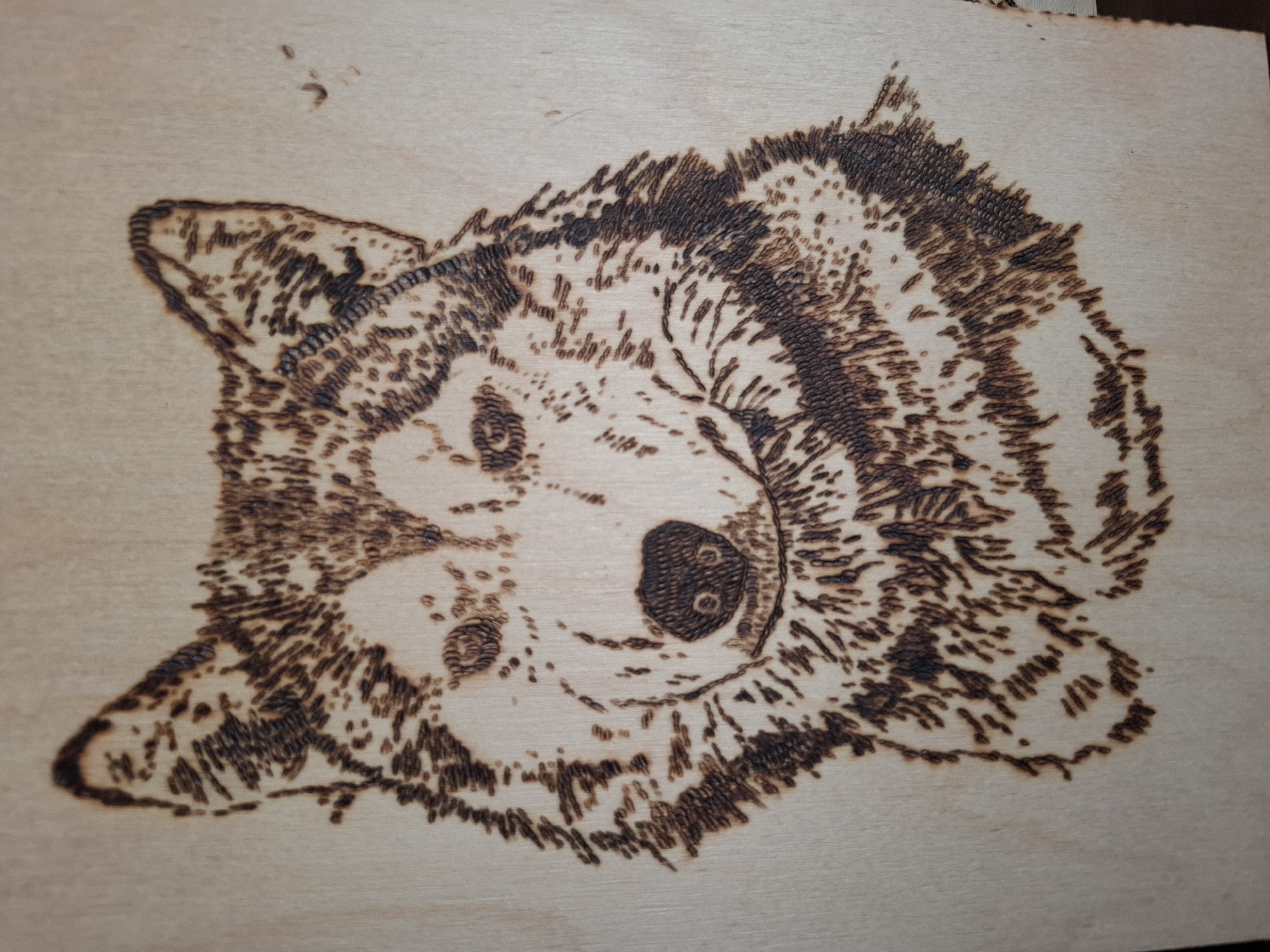 A wood-burned image depicts the head of a husky dog. The dog is facing the viewer, tilted slightly to its right. Details of the fur are represented by varying degrees of darkness created by the wood-burning technique. The location in the city of Амзя, Russia is not applicable as this is a photograph of a wood-burned image.
