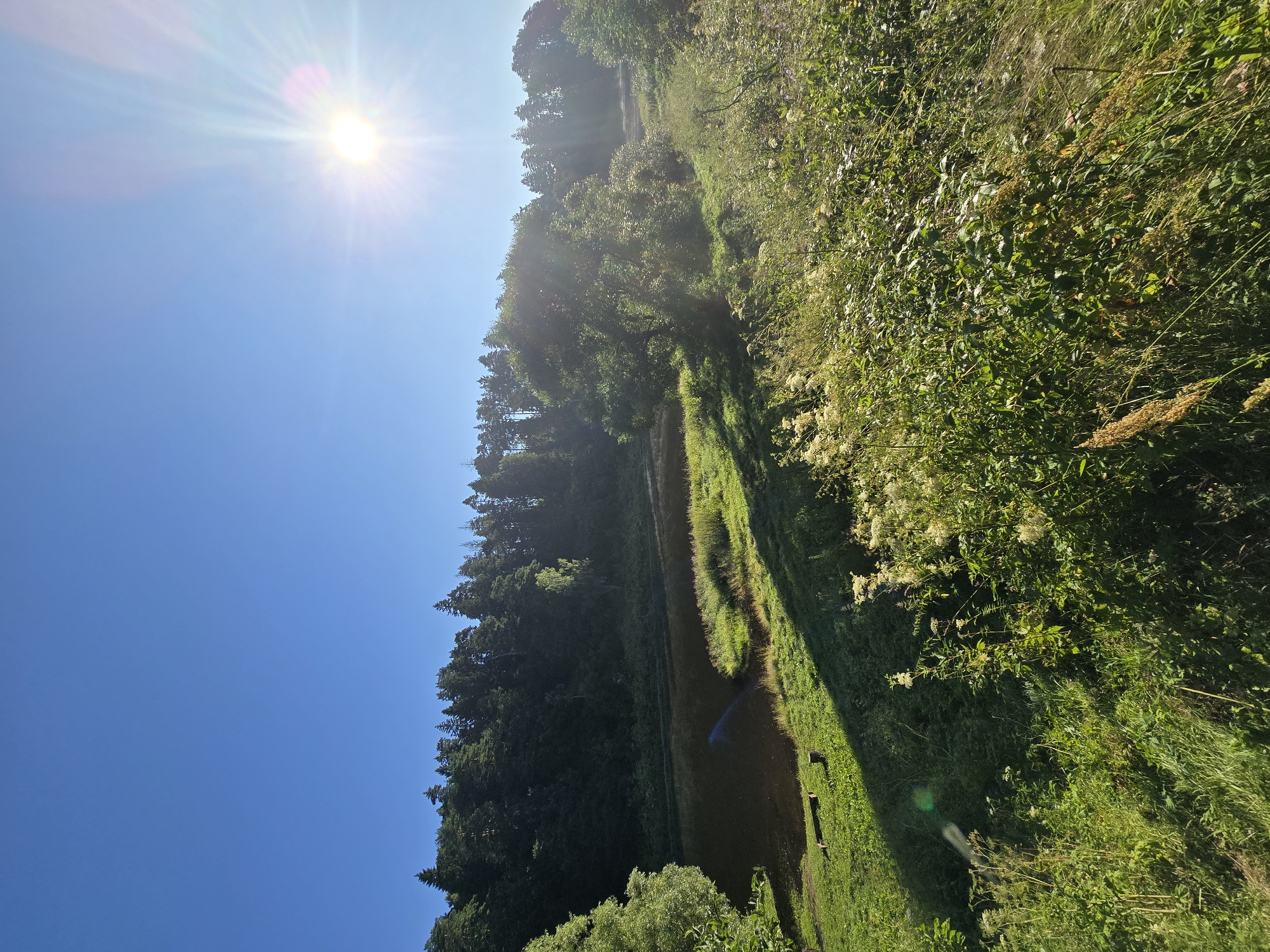 A sun-drenched, rural landscape is captured in this vertical, full-frame photograph. The image depicts a serene scene with a body of water reflecting the clear blue sky, bordered by lush green vegetation and a dense forest. The sun, a bright white orb with visible rays, is positioned in the upper right quadrant, casting a warm glow over the scene and creating long shadows on the grassy foreground. The water's edge is lined with tall grasses and wildflowers, adding texture and color to the composition. In the distance, a line of trees forms a dark, verdant backdrop against the bright sky. The image appears to have been taken in the city of Voinskaya Chast' Mchs, Russia, a location known for its natural beauty and tranquil environments.