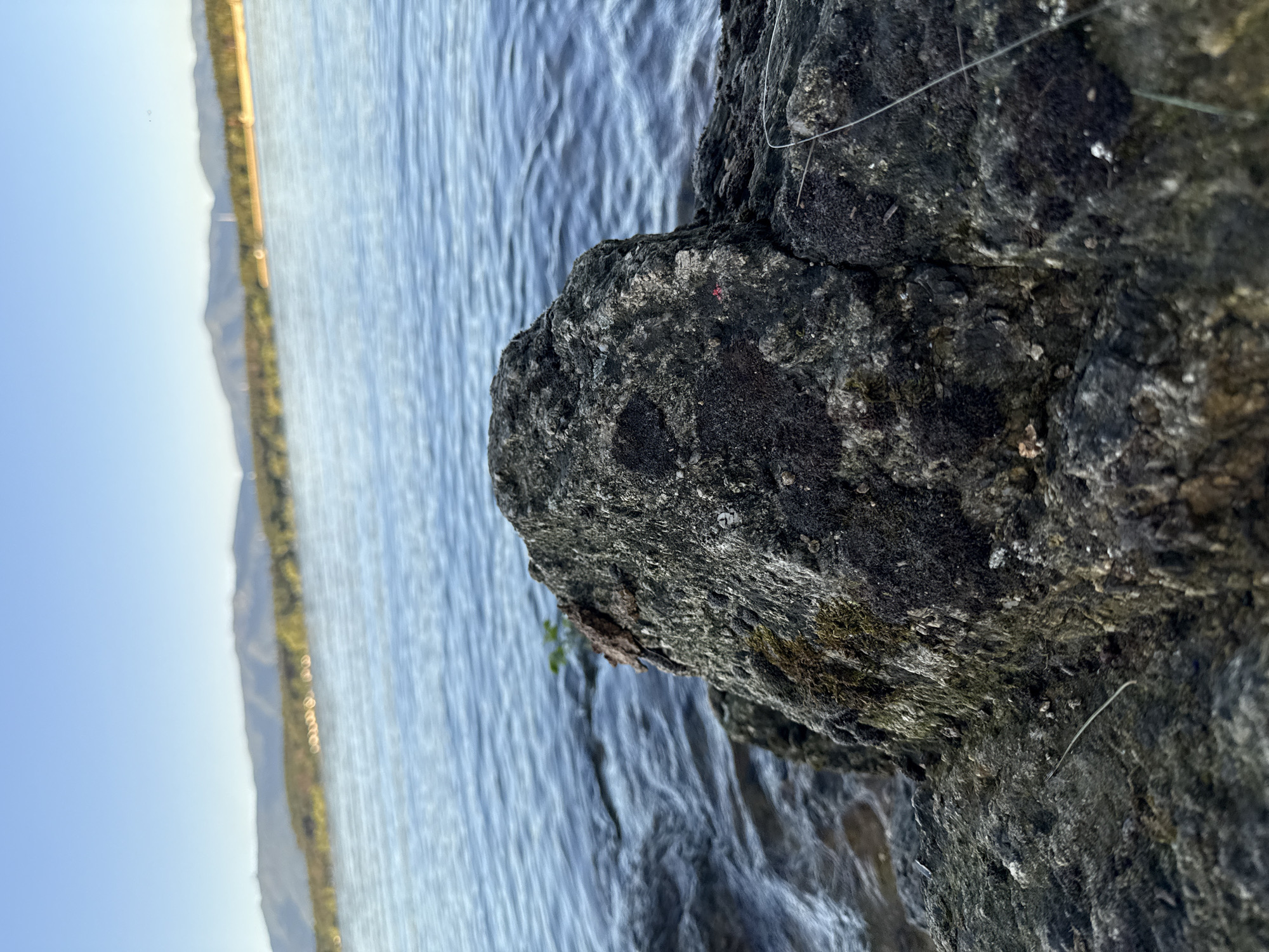 The image captures a close-up view of a dark, textured rock in the foreground, with a body of water in the background. The water appears calm with small ripples, and beyond it, a distant shoreline is visible, lined with trees and mountains. The sky is clear and blue, suggesting a pleasant day. The rock shows signs of moss growth in some areas, indicating it has been exposed to the elements. A thin, light-colored fishing line is visible draped across the rock's surface in the lower right portion of the image. The location is identified as Koprinka, Bulgaria. There are no people or animals visible in the scene. The overall impression is one of a natural, outdoor setting.