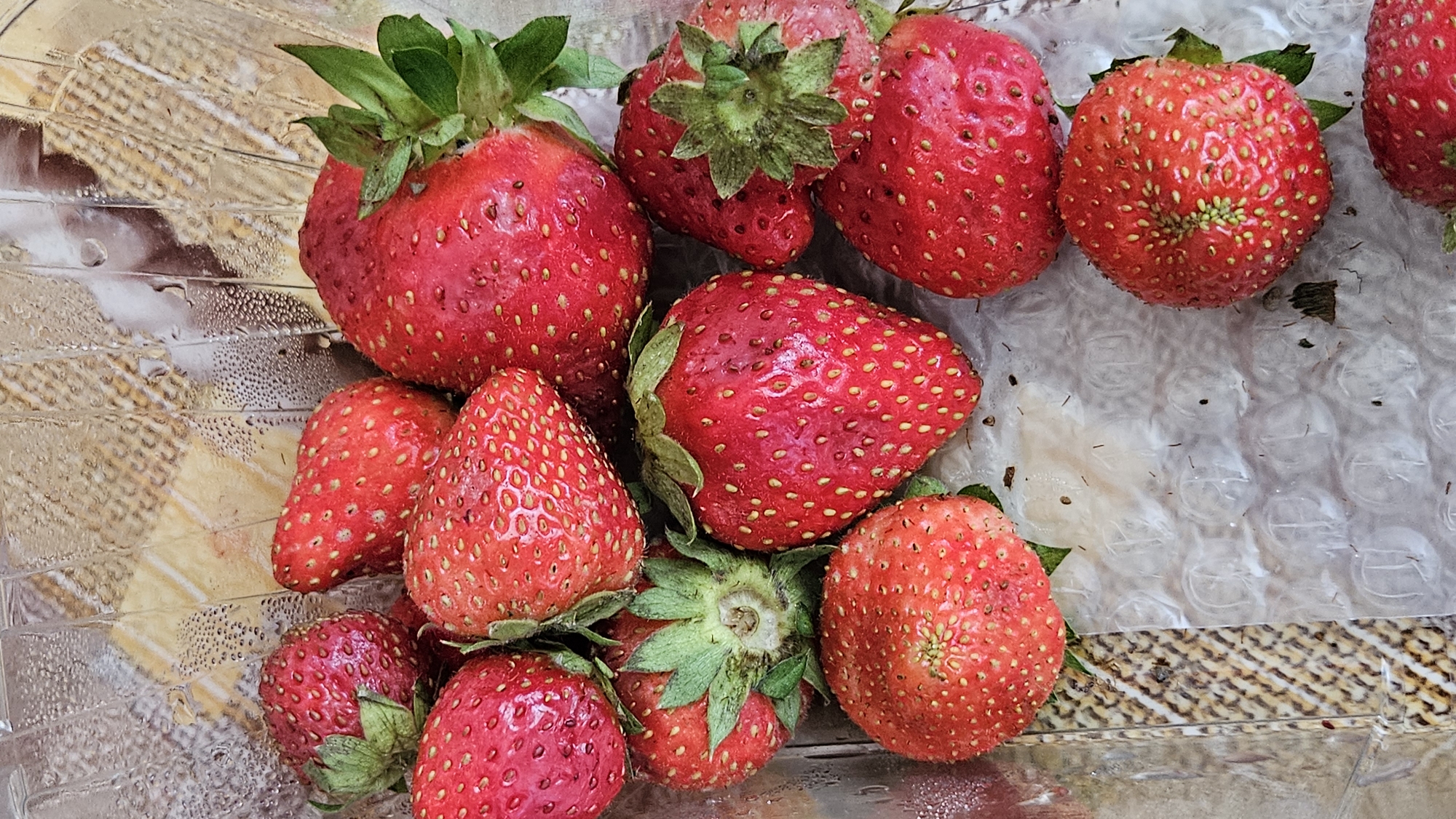 The image displays a close-up, top-down view of a clear plastic container filled with fresh, ripe strawberries. The strawberries are predominantly a vibrant red, with visible seeds dotted across their surfaces. Some of the strawberries have their green leafy tops intact, while others do not. The container appears to be resting on a textured surface, possibly a countertop or packaging material, with a faint pattern visible beneath the strawberries. There is a subtle condensation on the inside of the plastic container, suggesting the strawberries are cool. The scene is indoors, with natural light illuminating the fruit. No specific location within Bratislava, Slovakia, can be identified from the image.