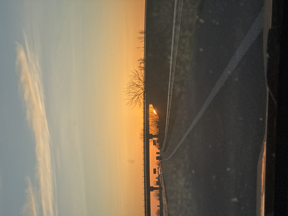 The image displays a multi-lane highway scene at either sunset or sunrise, captured from within a vehicle near Cherna Gora, Bulgaria. The sky transitions from a pale blue overhead to a bright orange-yellow at the horizon. The lower portion of the sun is visible, positioned low on the right, partially obscured by a raised land embankment and the underside of a concrete overpass. The asphalt highway features a solid white shoulder line on the right and a broken white line separating the two visible lanes, curving subtly to the right as it recedes. A concrete overpass structure, complete with support pillars and guardrails, spans the highway. Several dark vehicle silhouettes are observable on the distant highway lanes, positioned beyond and beneath the overpass, traveling away from the camera's perspective. Bare deciduous trees and shrubs are silhouetted against the bright sky along the road's embankments, with one particularly prominent leafless tree on the right. A metallic guardrail runs parallel to the right edge of the highway. The immediate foreground shows a section of the viewer's vehicle dashboard, and the perspective through the windshield is slightly compromised by scattered dust particles.