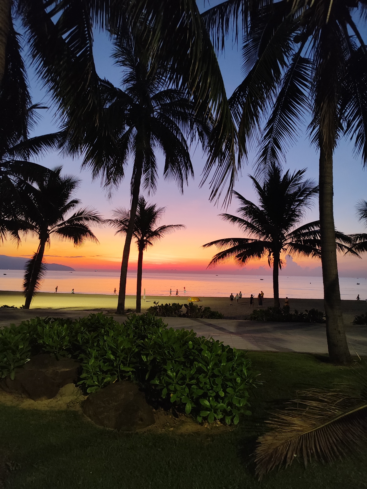 The image captures a tropical beach scene at sunset. Silhouetted palm trees frame the view of the sky, which is painted with hues of blue, purple, pink, and orange. The beach is visible in the midground, with several people scattered along the shoreline. The water is calm, reflecting the colors of the sky. In the foreground, there is a lush green bush and grass.
Based on the coastal setting, palm trees, and colorful sunset, this image is likely taken in Đà Nẵng, Vietnam, as this location is known for its beaches and tropical scenery.