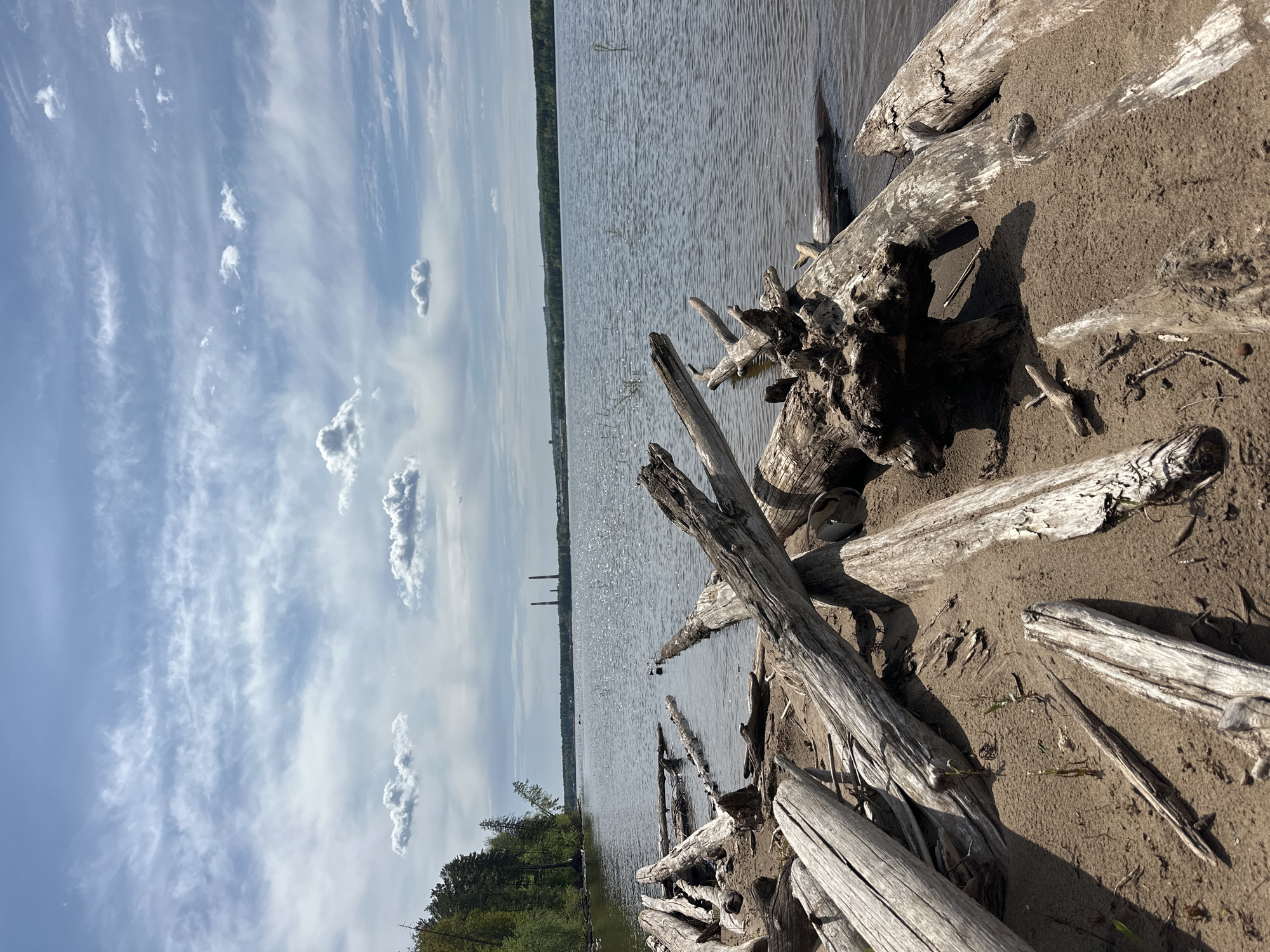 The image depicts a shoreline scene with a body of water, likely a river or lake. Driftwood and logs are scattered on the sandy bank. The sky is blue with scattered cumulus clouds. In the distance, on the opposite shore, vegetation and two smokestacks are visible. Based on the urban element of smokestacks, and information related to the city of Chaikovsky, Russia, this is the Kama River (or an associated reservoir) and the smokestacks most likely belong to a factory or power plant near the river. There are no people visible in the image, and no explicit actions or interactions. The environment appears to be natural, but potentially impacted by industrial activity in the distance.