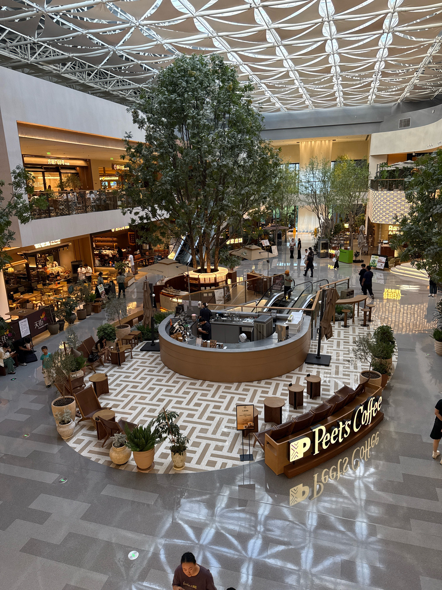 The image depicts the interior of a large, modern shopping mall in Daxing District, China, characterized by an open atrium with a striking geometric ceiling. A central feature is a large, artificial tree surrounded by a circular seating area and a coffee bar. In the foreground, a Peet's Coffee kiosk with distinctive branding is visible. Surrounding the central area are multiple levels of retail spaces, with shops and restaurants on the upper floors. People are dispersed throughout the mall, some walking, others seated at tables or near the coffee kiosk. The flooring is a mix of polished gray concrete and a patterned tile design. The overall ambiance suggests a bustling commercial environment with a focus on creating a natural, inviting atmosphere through the use of greenery and open spaces.