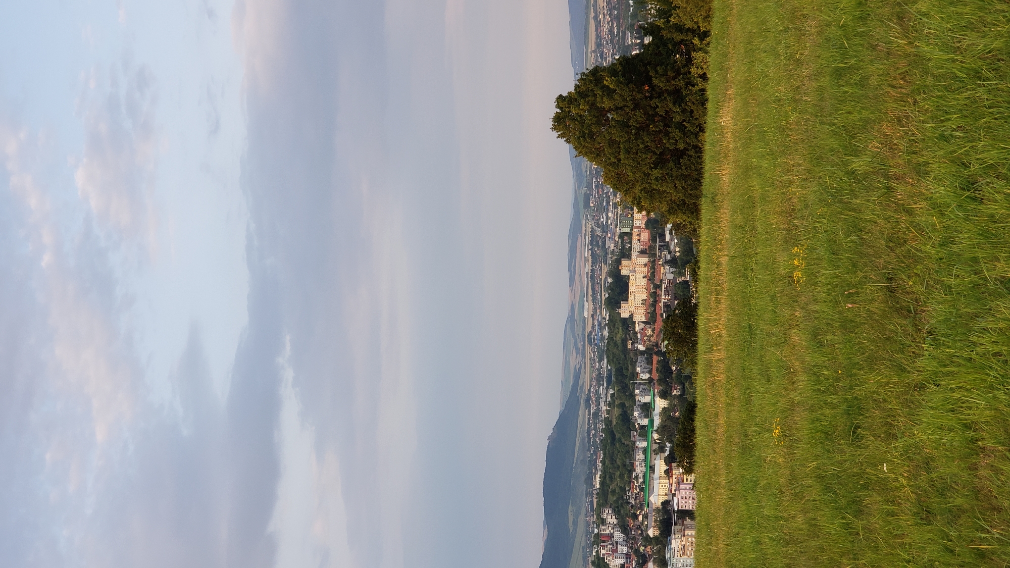 The image captures a panoramic view of the city of Prešov, Slovakia, seen from a grassy hill. In the foreground, a lush green meadow stretches across the lower half of the frame, with blades of grass appearing tall and somewhat unkempt, hinting at a natural, undeveloped area. Scattered yellow wildflowers dot the grass. A large, mature tree with dense foliage dominates the right side of the mid-ground, partially obscuring the view of the city beyond.
The city itself is spread across the mid-ground and extends into the distance. A cluster of multi-story buildings, characteristic of a residential area, with predominantly light-colored facades, are visible. Some buildings appear to be apartment blocks, while others might be commercial structures. A faint haze or atmospheric condition softens the details of the distant cityscape and the rolling hills that form the backdrop. The sky above is a mix of light blue and soft grey clouds, with subtle hints of pink, suggesting either early morning or late afternoon light. The overall impression is one of a serene, elevated vantage point overlooking a populated urban landscape.