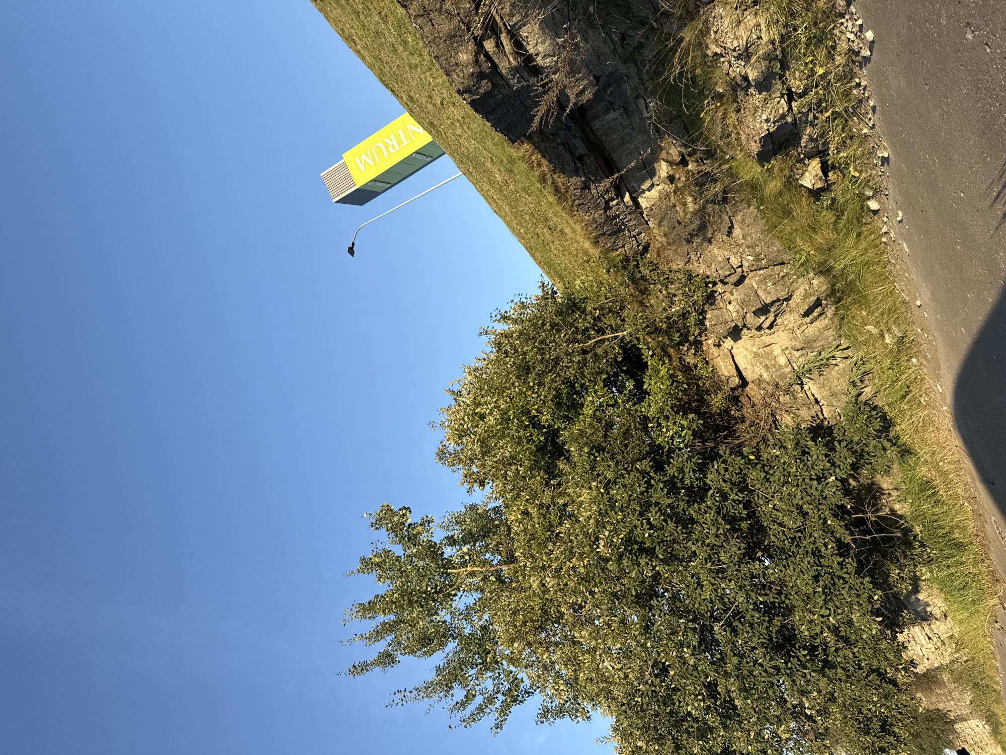 This is a low-angle, eye-level, full outdoor shot of a grassy hillside with rock formations and trees. The sky is clear and blue. A tall, narrow yellow sign with the word "NTRUM" in dark letters is positioned on the hillside. A streetlamp is visible near the sign. The photograph was taken in Tallinn, Estonia, near the Kalaranna area, possibly along the coastal path or a nearby embankment.